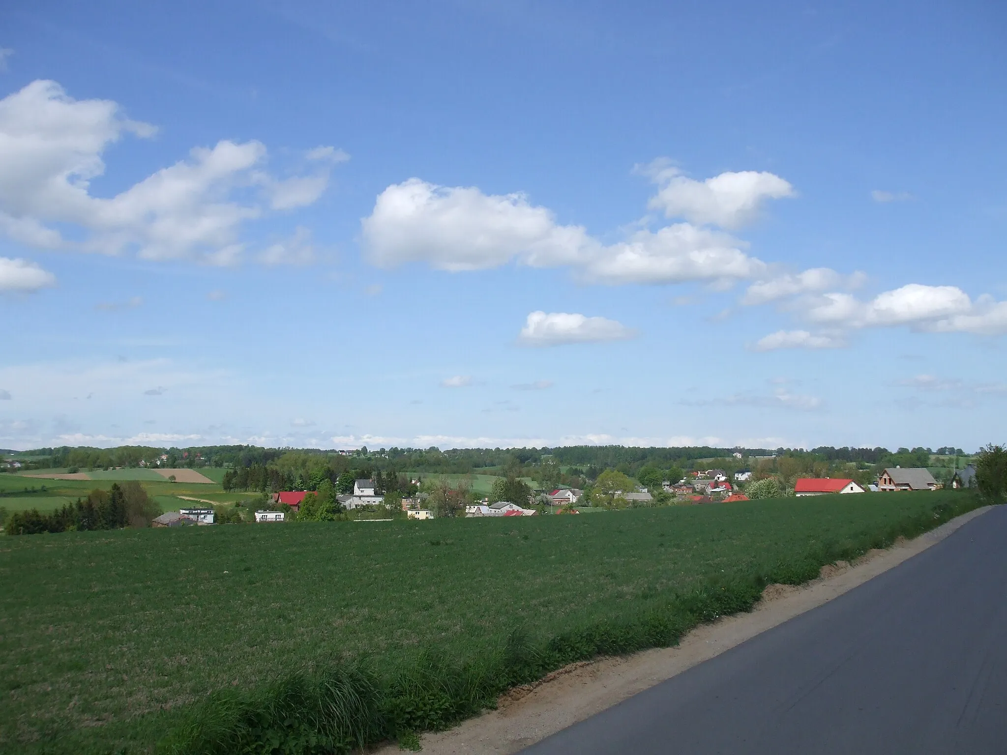 Photo showing: Warzno near Kielno
