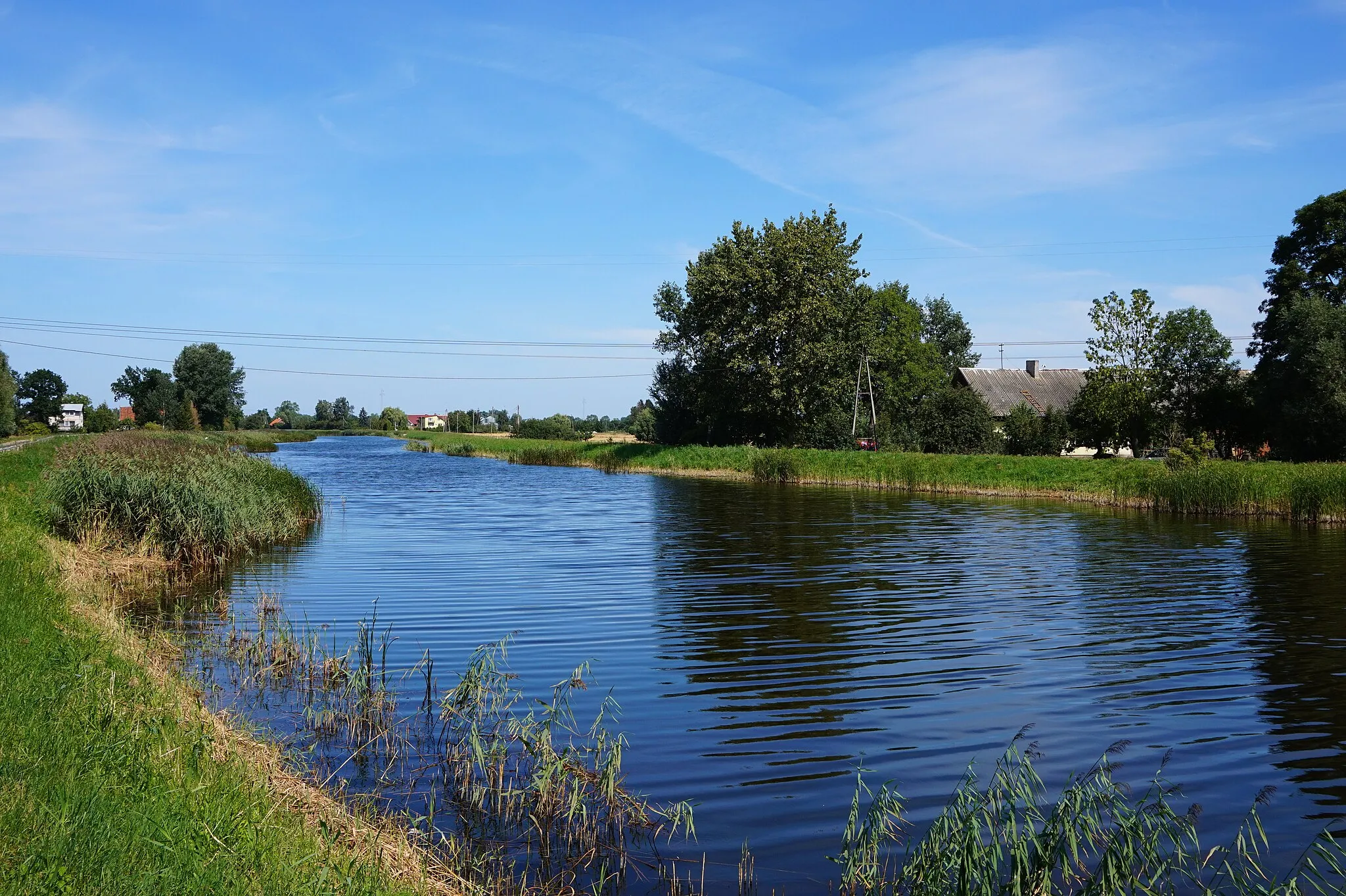 Photo showing: Kanał Śledziowy, okolice wsi Szerzawa