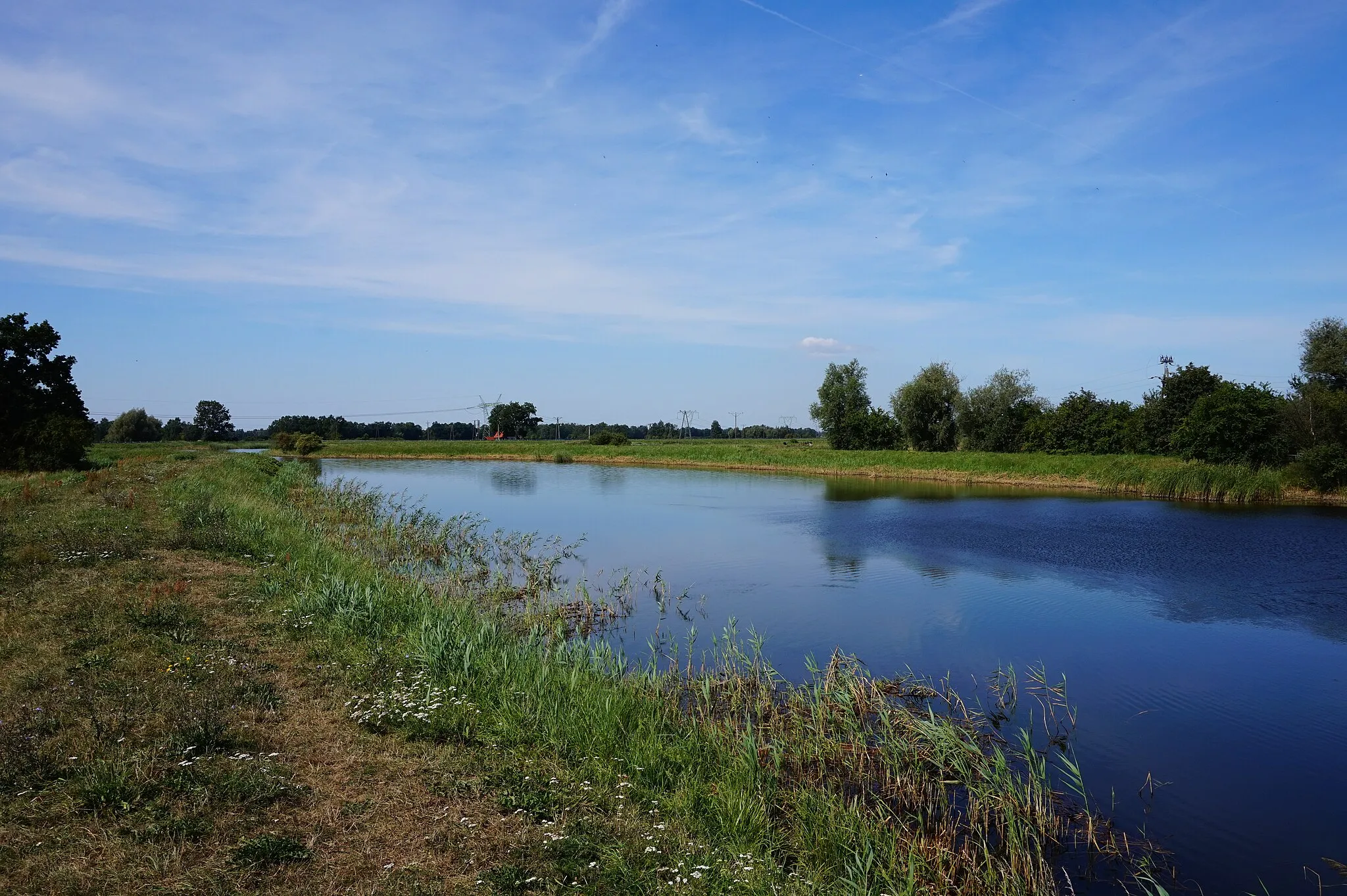 Photo showing: Kanał Śledziowy, okolice wsi Trzcinisko