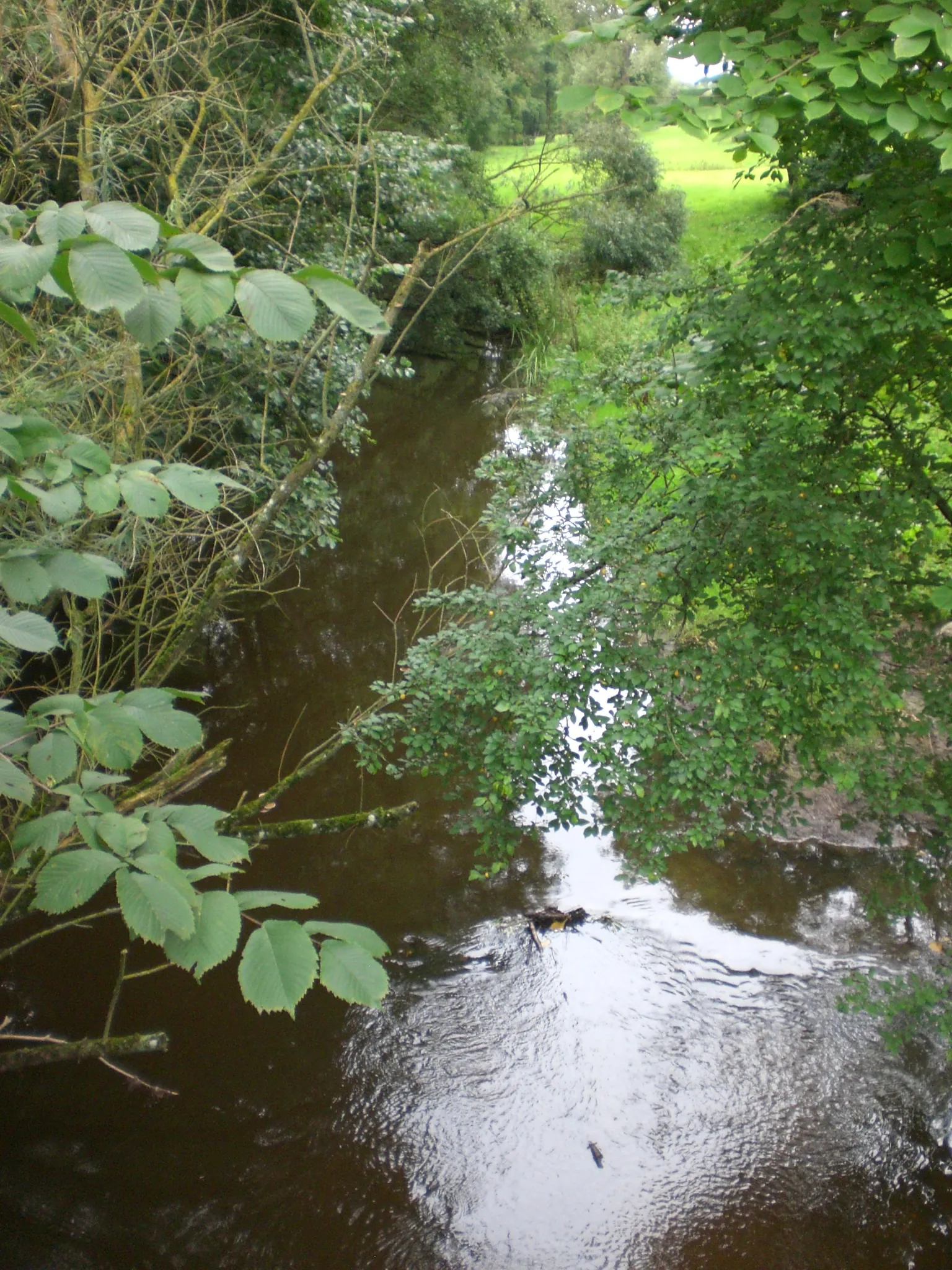 Photo showing: Strysza Buda - rzeka Łeba