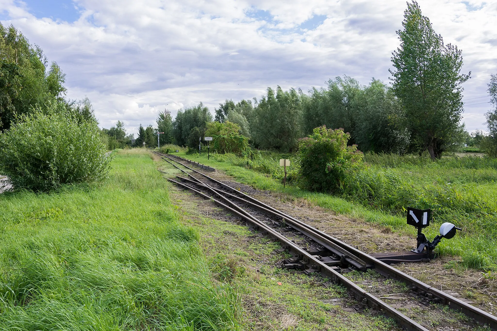 Photo showing: Rybina train station. The view to the south.