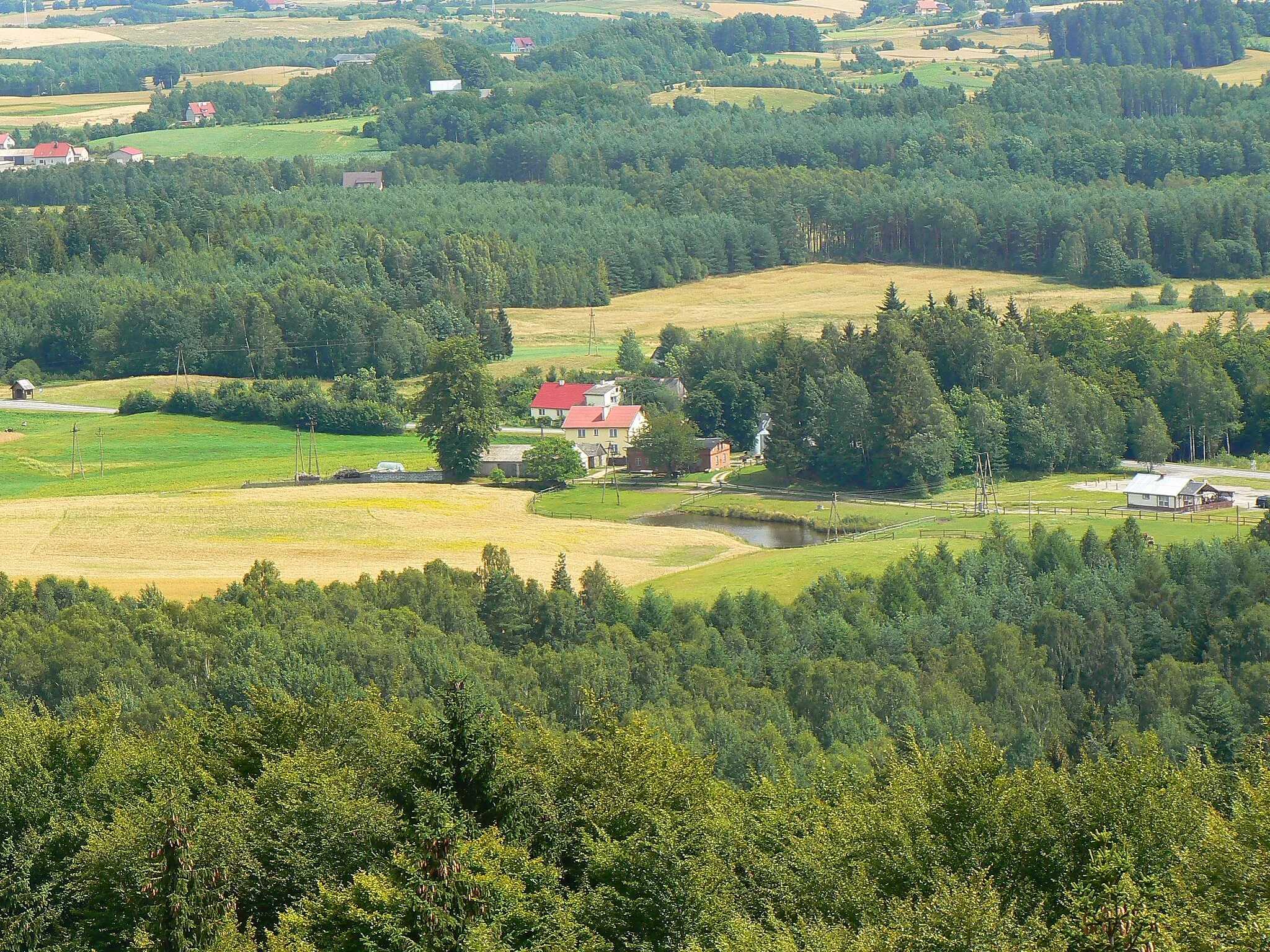 Photo showing: Widok z Wieżycy