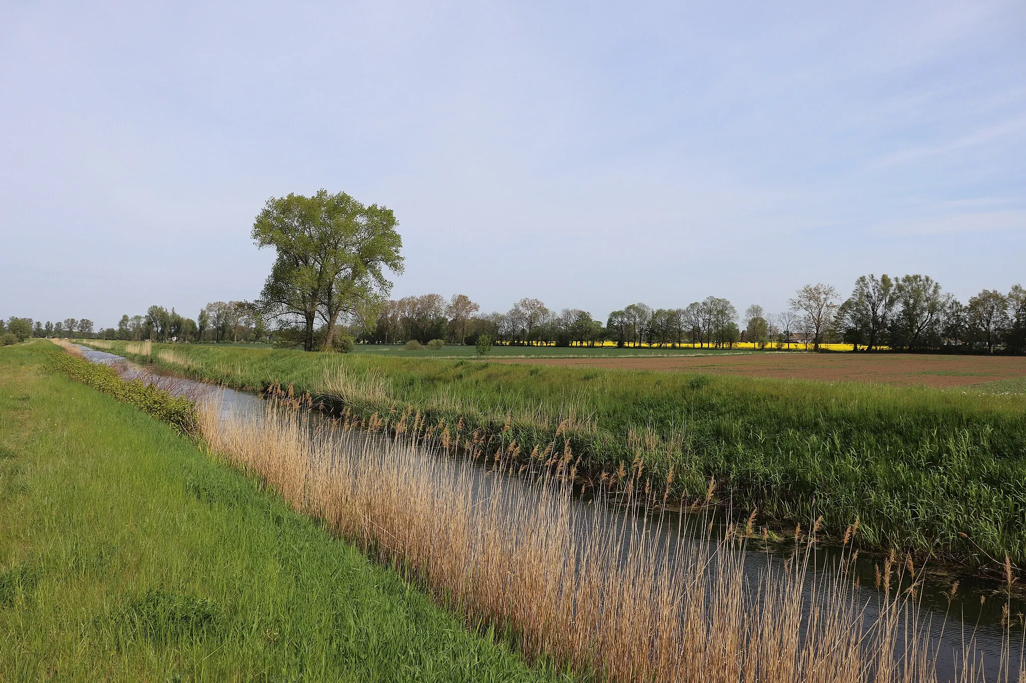 Photo showing: Rokitnica - the Czarna Łacha canal