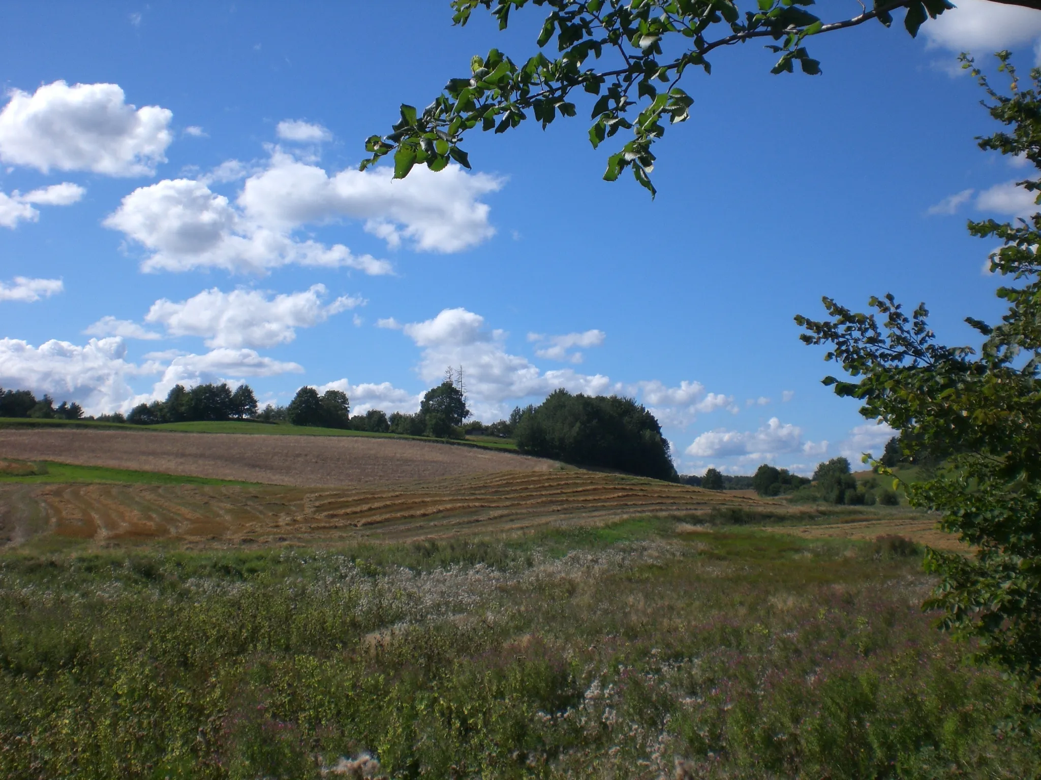 Photo showing: Ramleje - żniwa