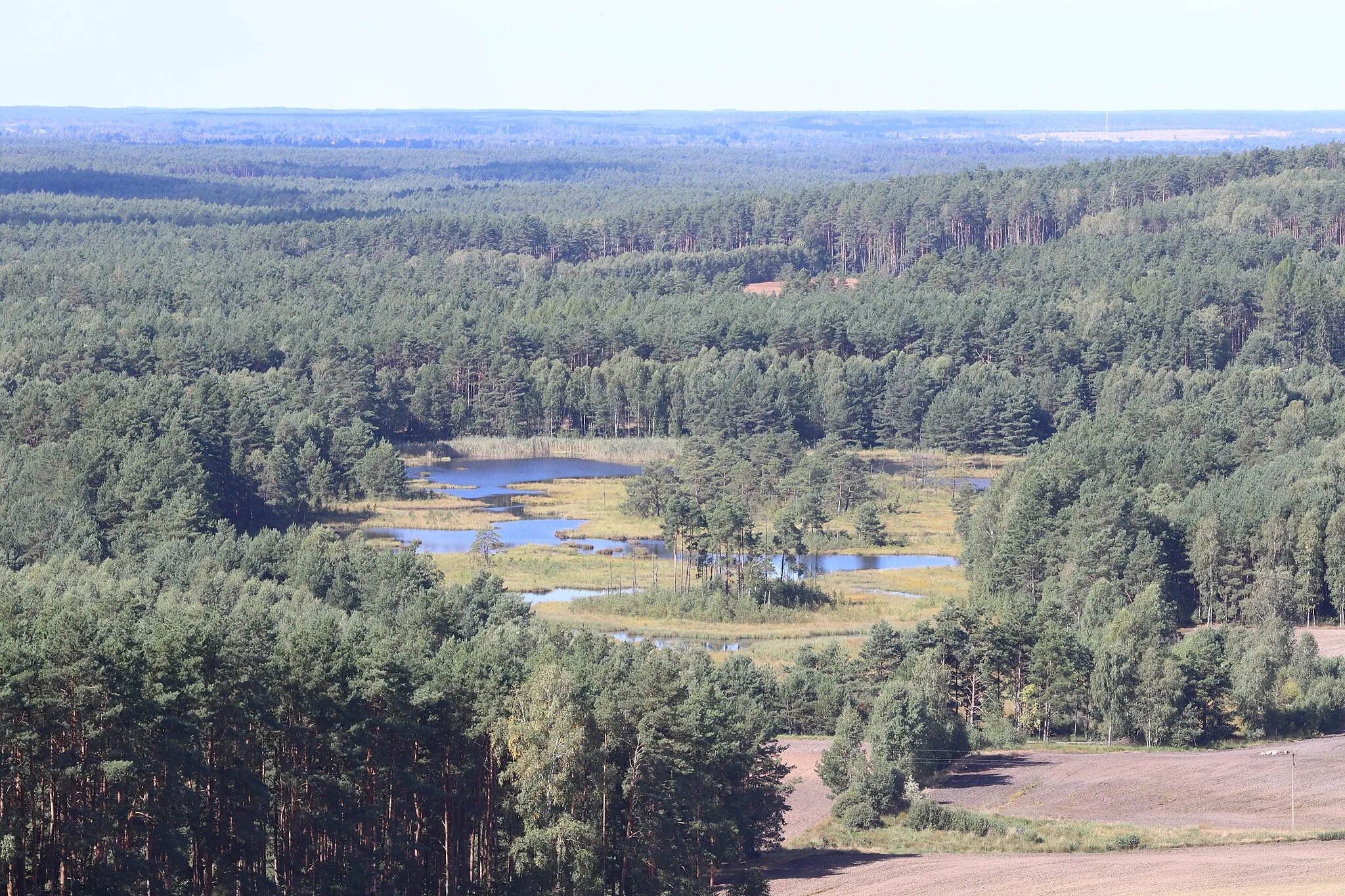Photo showing: Przytarnia - view from the observation tower