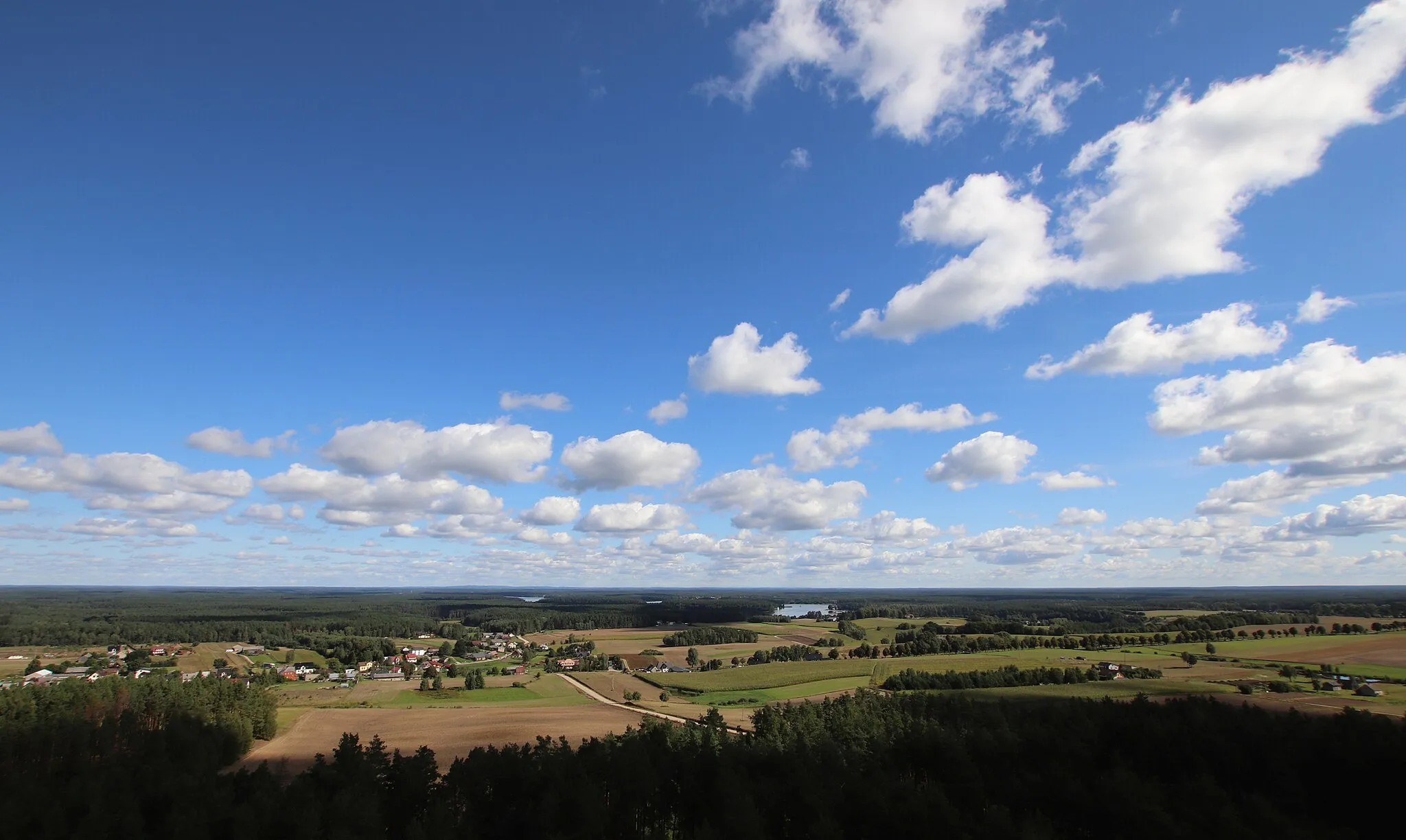 Photo showing: Przytarnia - view from the observation tower