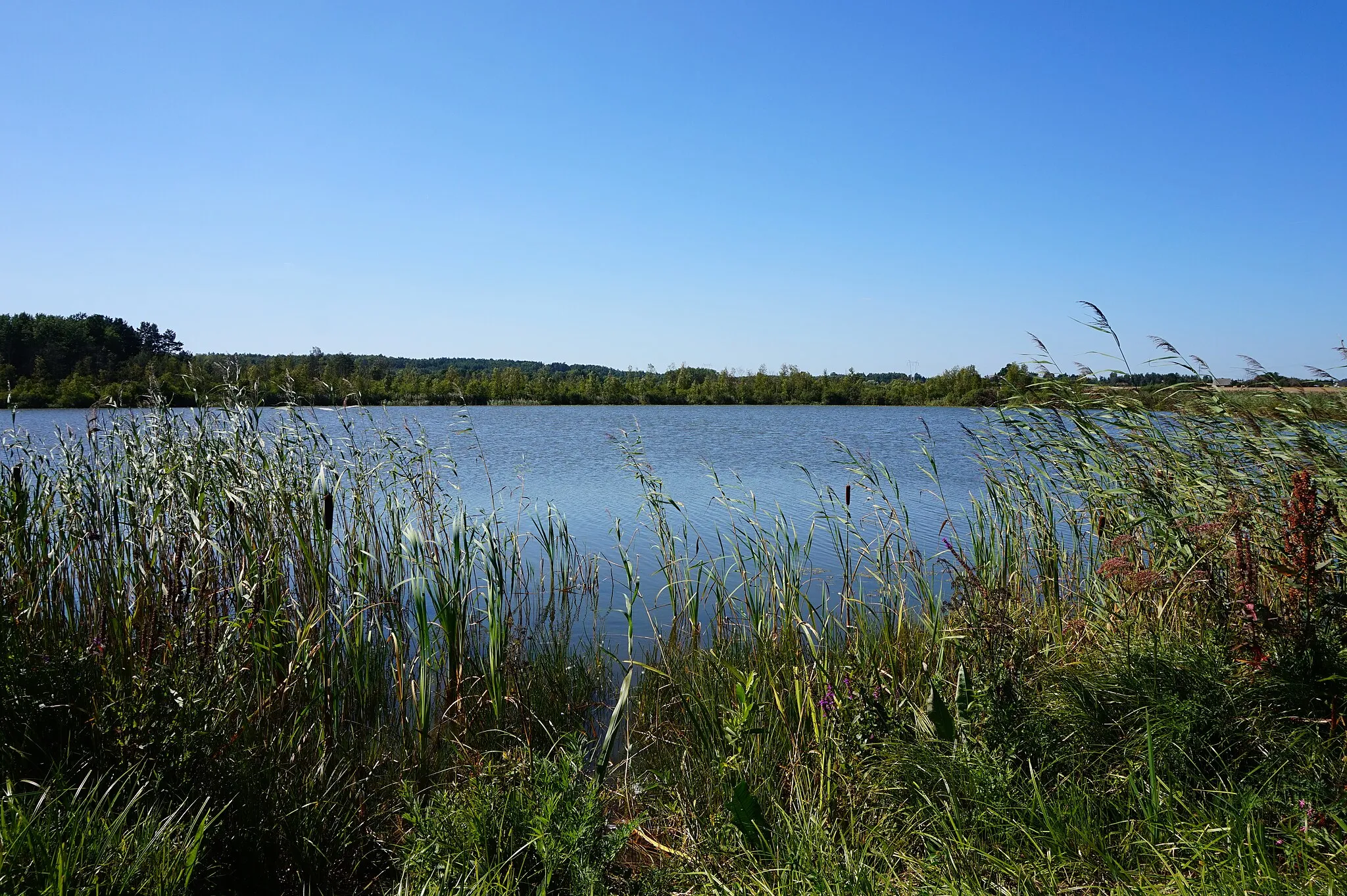Photo showing: Jezioro Nowa Przyjaźń we wsi Nowa Przyjaźń