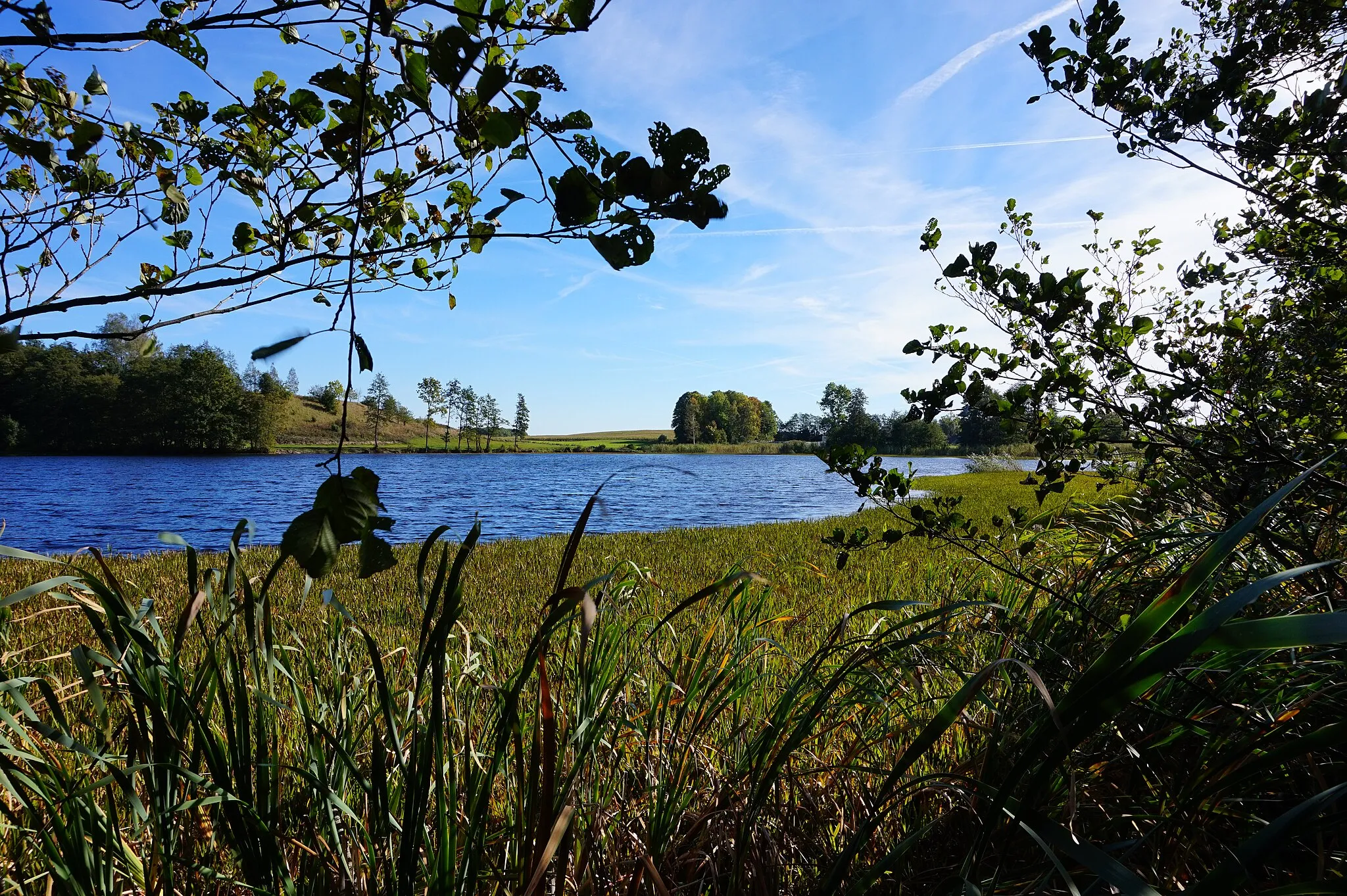 Photo showing: Jeziorko, wieś Przerębska Huta