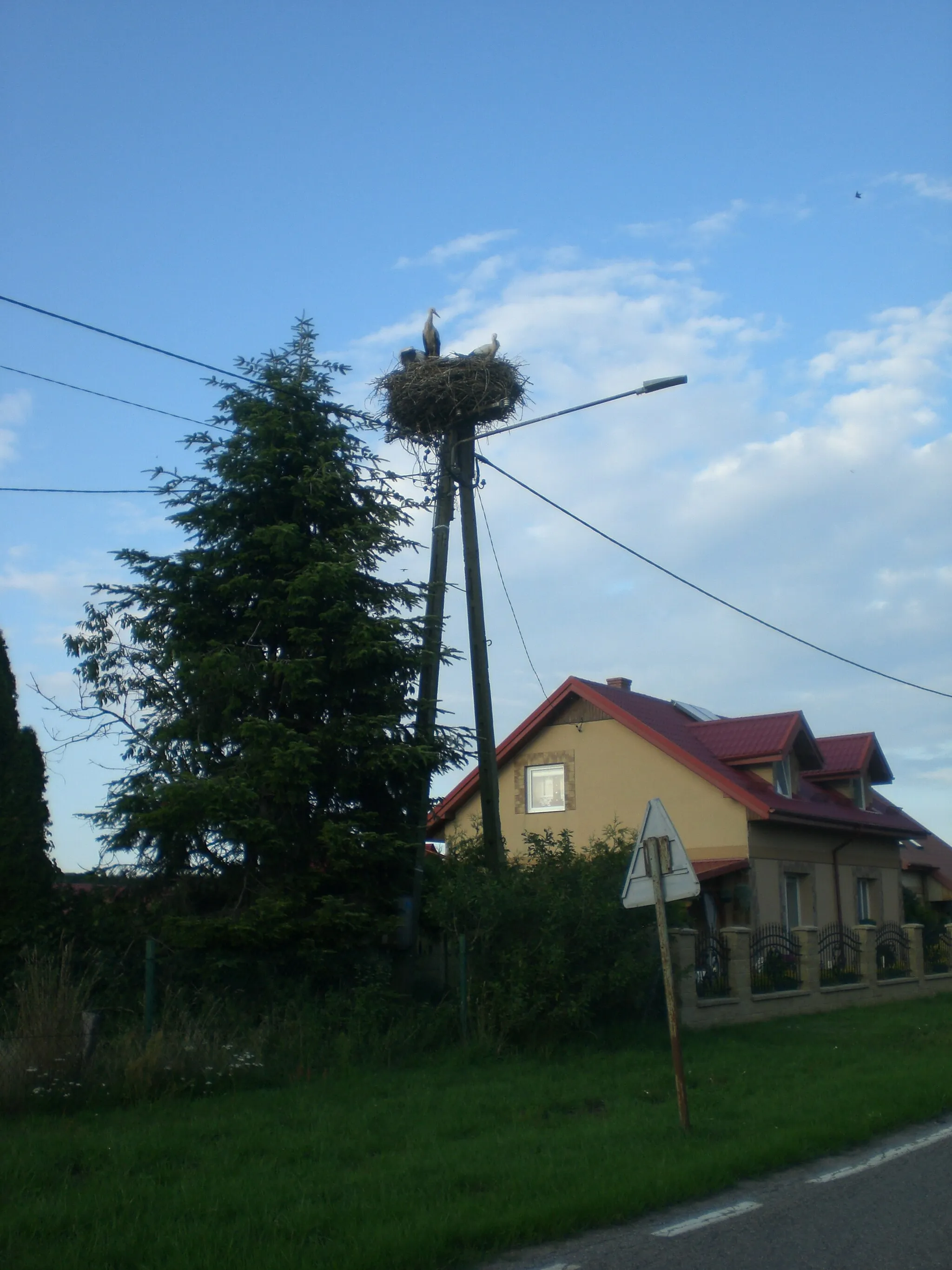 Photo showing: Perlino - bocianie gniazdo