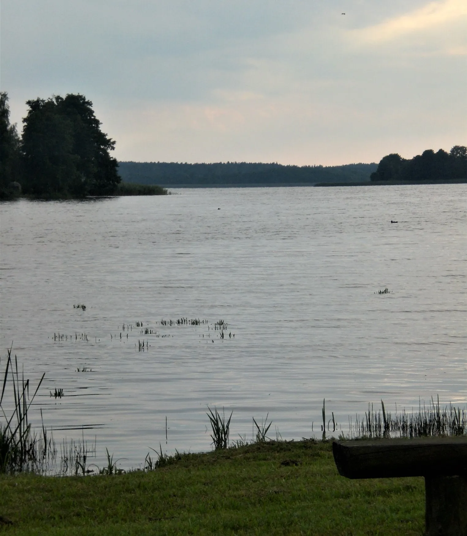 Photo showing: Osiek, Lake Kałębie