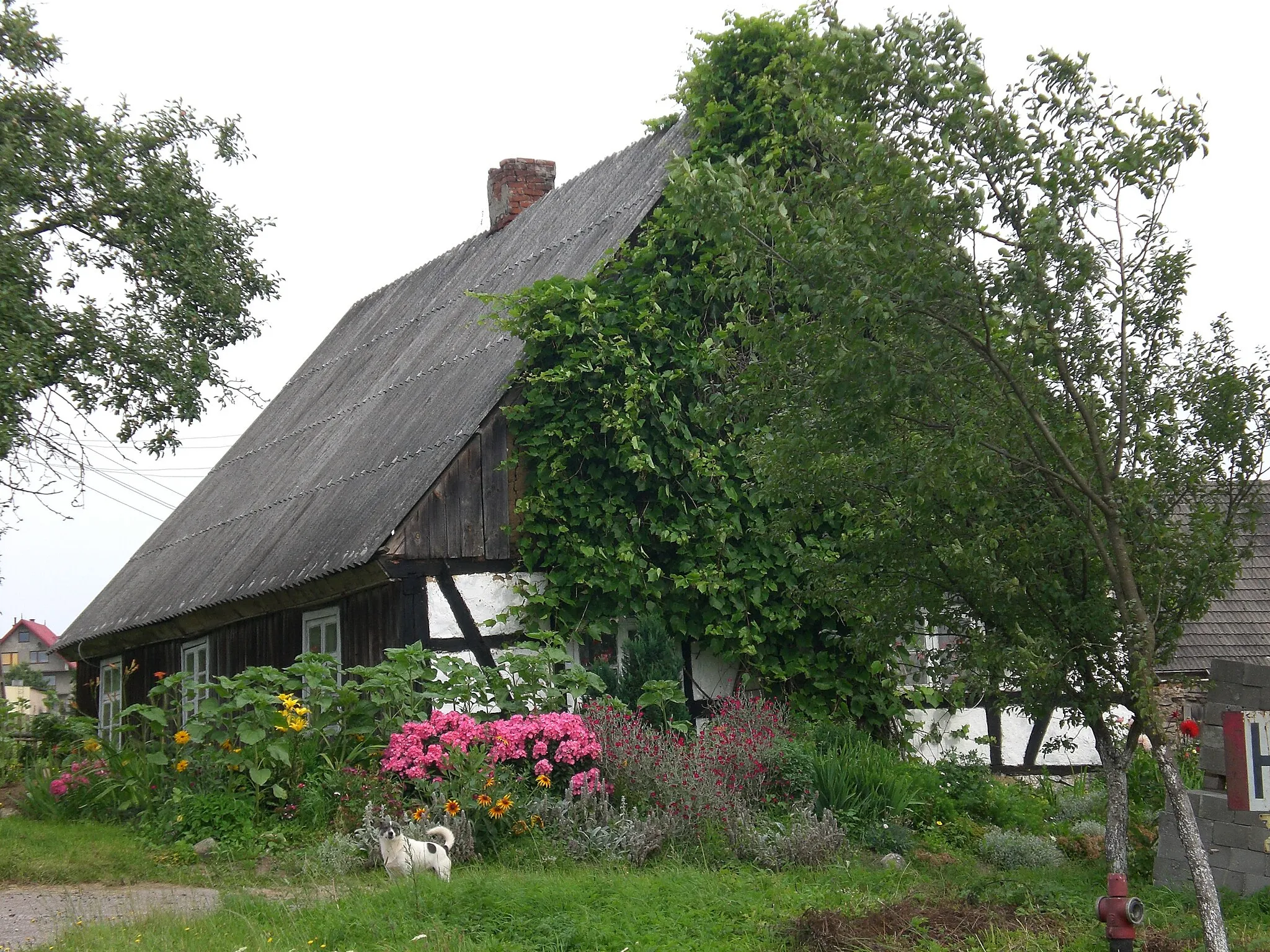 Photo showing: Nowa Huta - village in powiat kartuski (Kartuzy county)