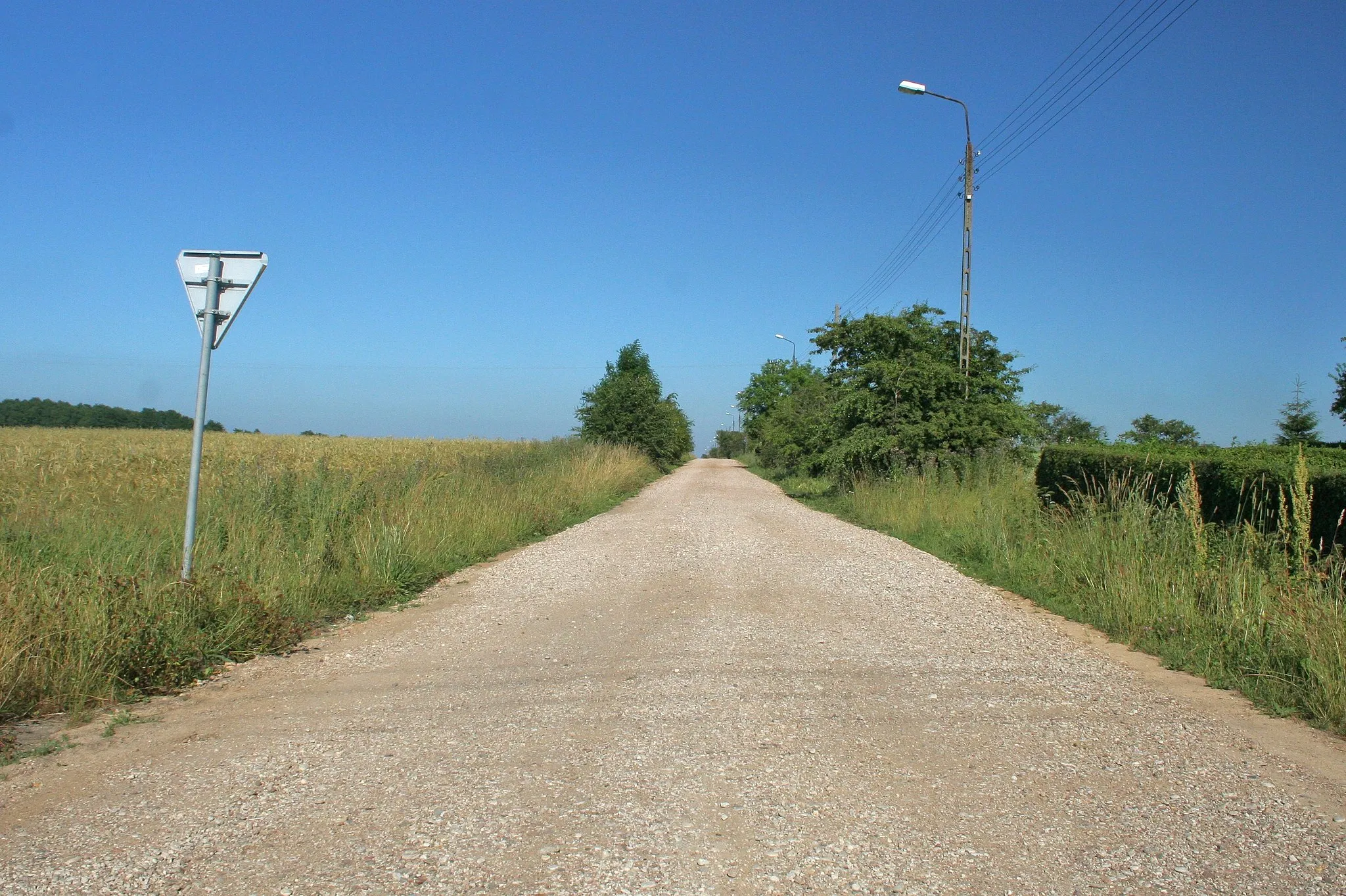 Photo showing: Road in Mieroszyno-Wybudowanie.