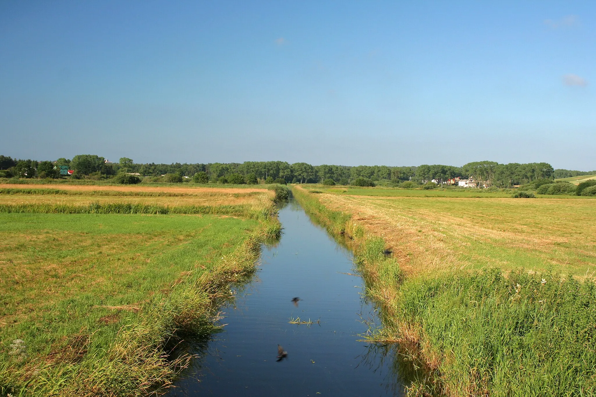 Photo showing: Czarna Woda river near Mieroszyno.