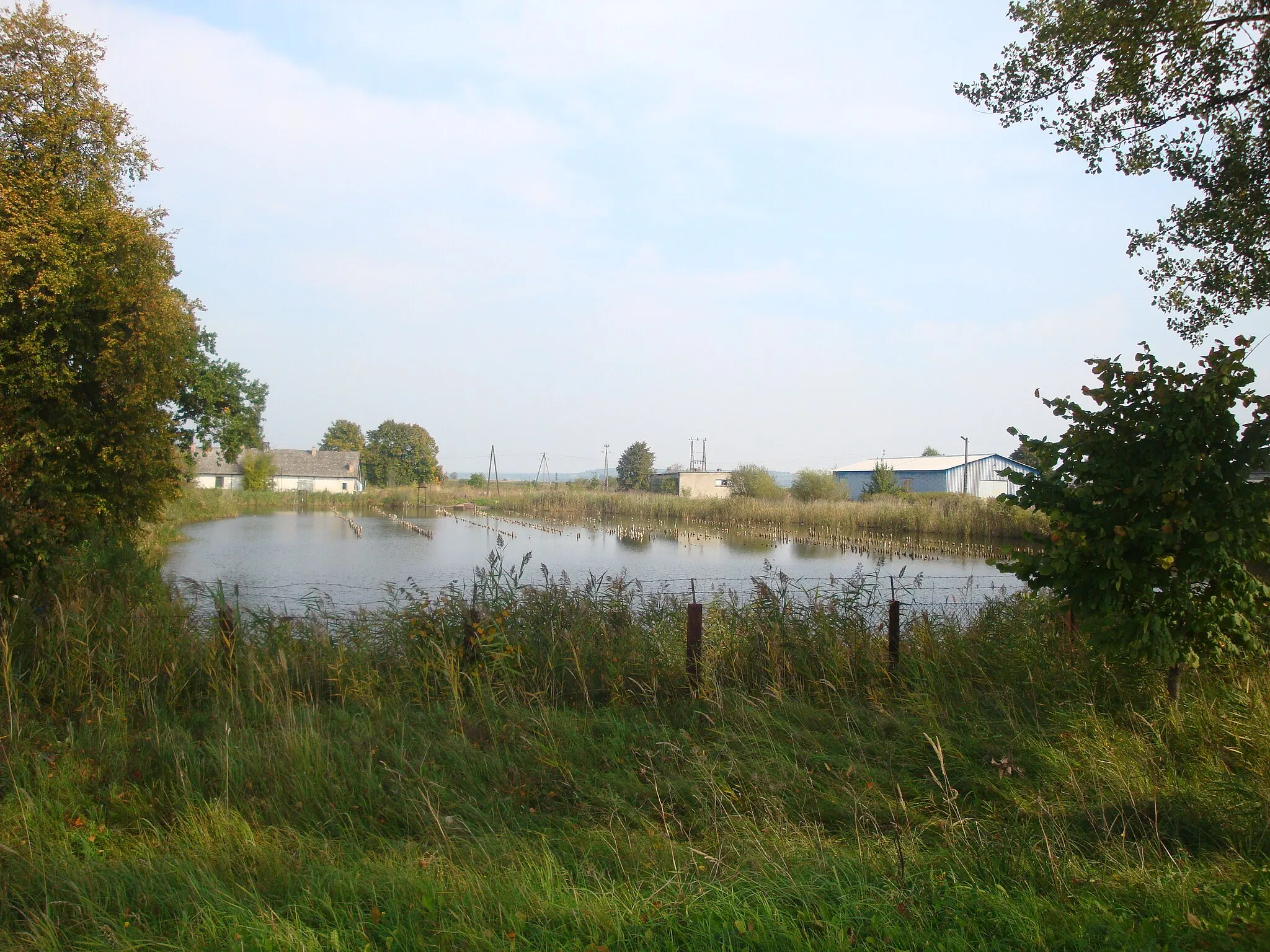 Photo showing: Mareza-village near Kwidzyn, Poland