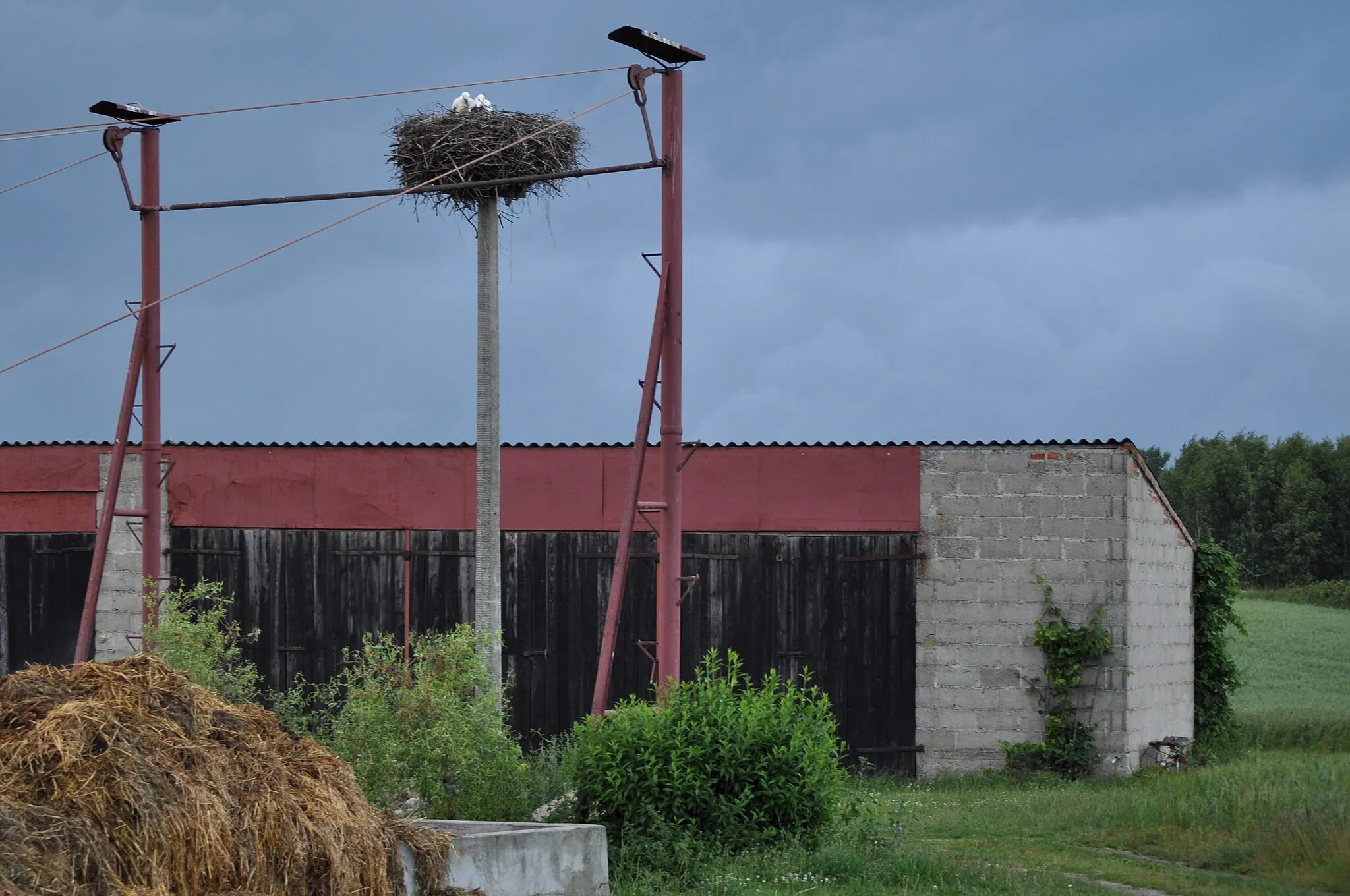 Photo showing: Stork nest in Małe Gliśno, Pomeranian Voivodeship, Poland