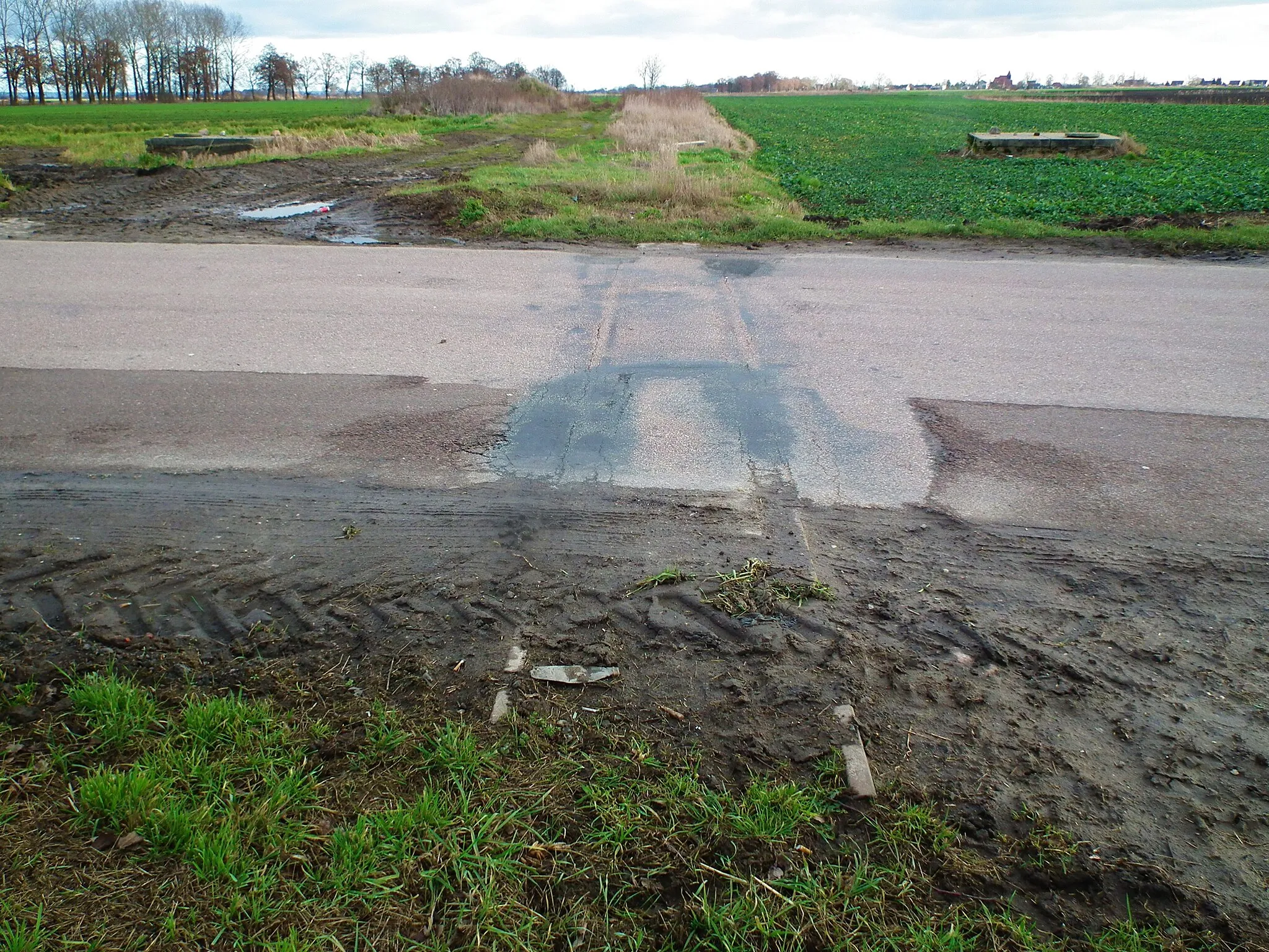 Photo showing: Teren po przystanku kolejowym Lubieszewo Gdańskie.