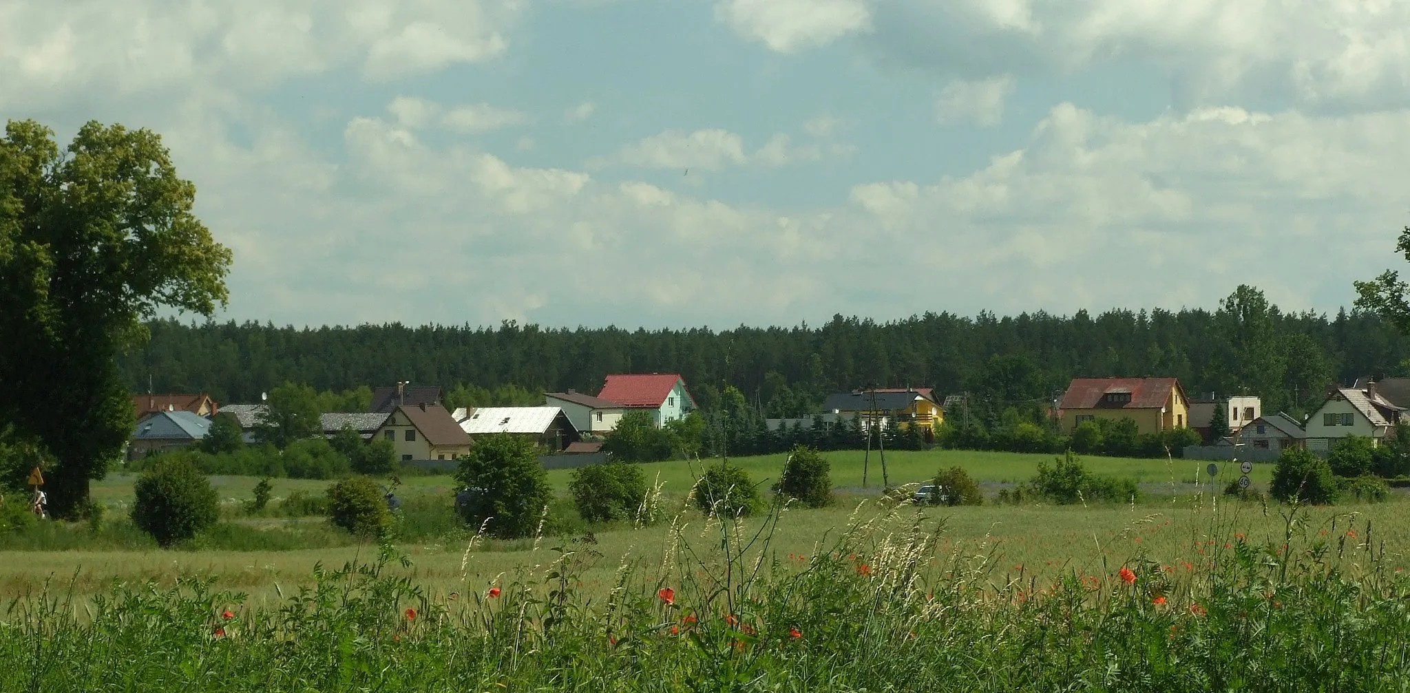 Photo showing: Lipinki Szlacheckie seen from the village of Jabłowo, Pomeranian voivodeship, Poland
