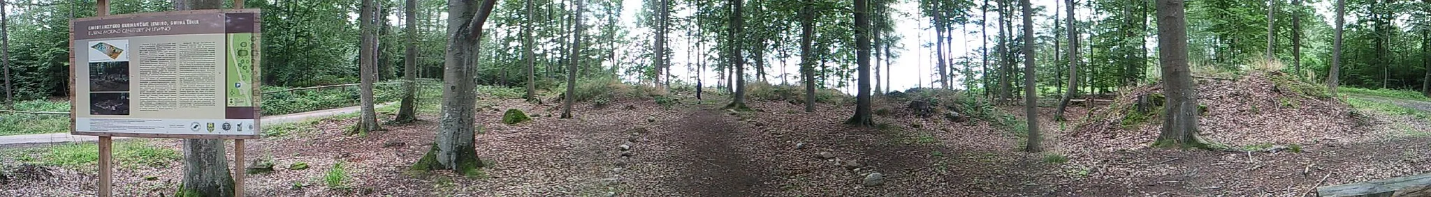 Photo showing: Middle Ages cemetery.