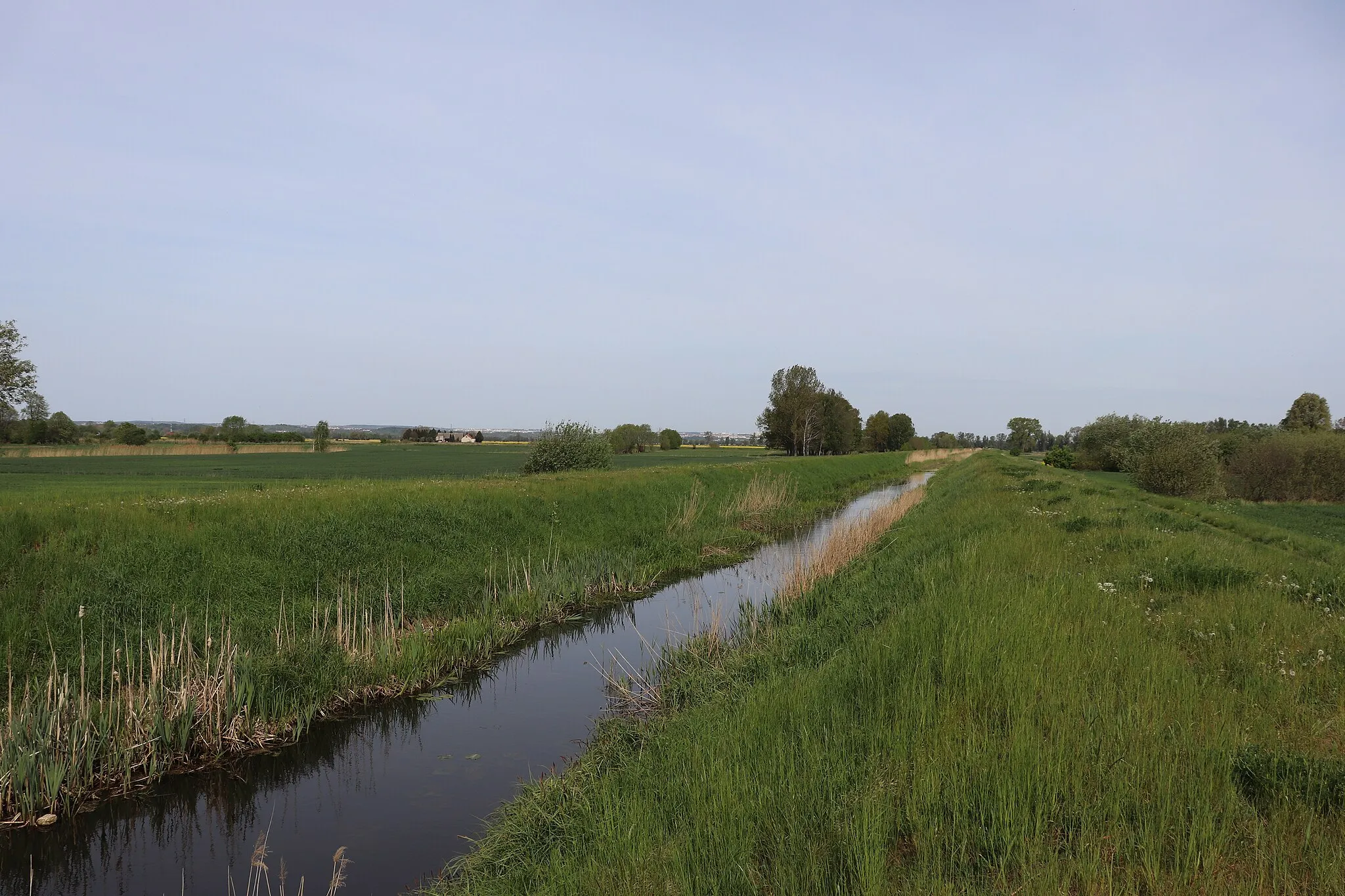 Photo showing: Lędowo - the Czarna Łacha canal