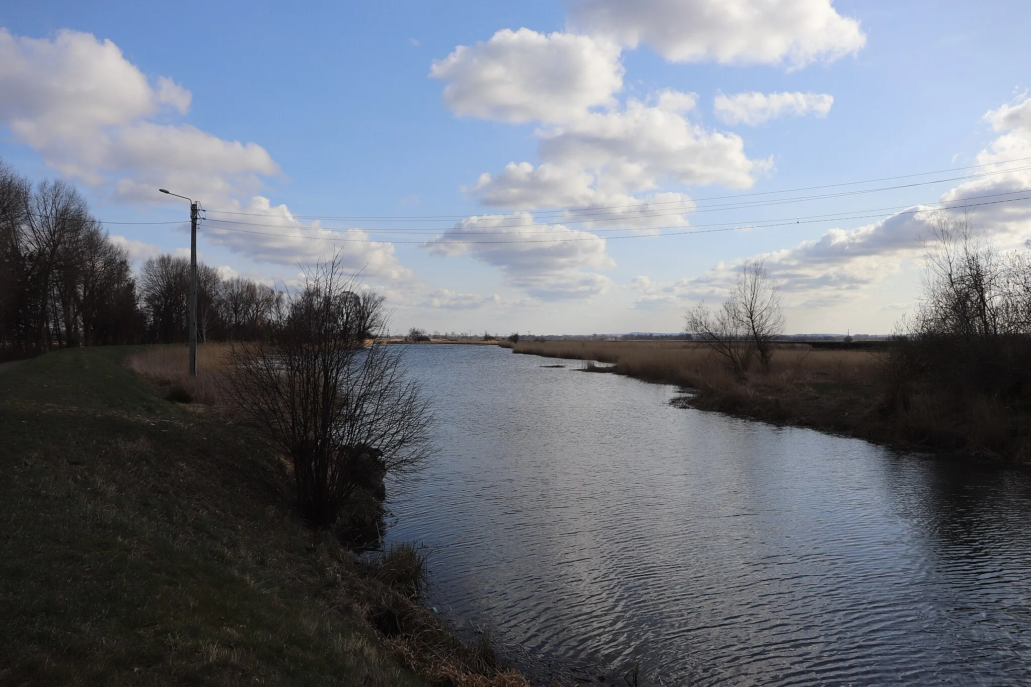 Photo showing: Krępiec - the Czarna Łacha river