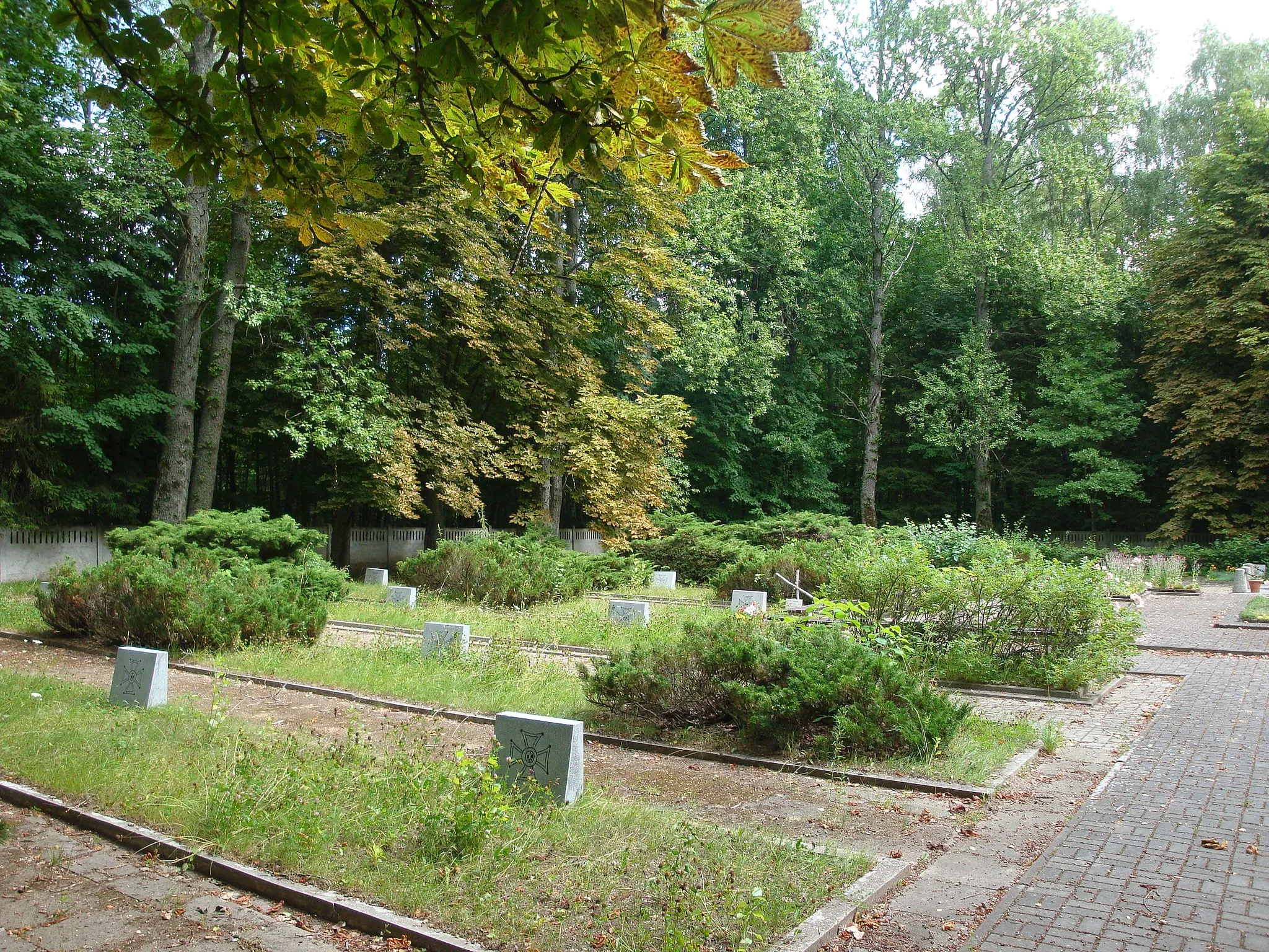 Photo showing: Cemetery near village Krępa Kaszubska, where about 800 prisoners of Stutthof concentration camp, victims of Death March are buried.