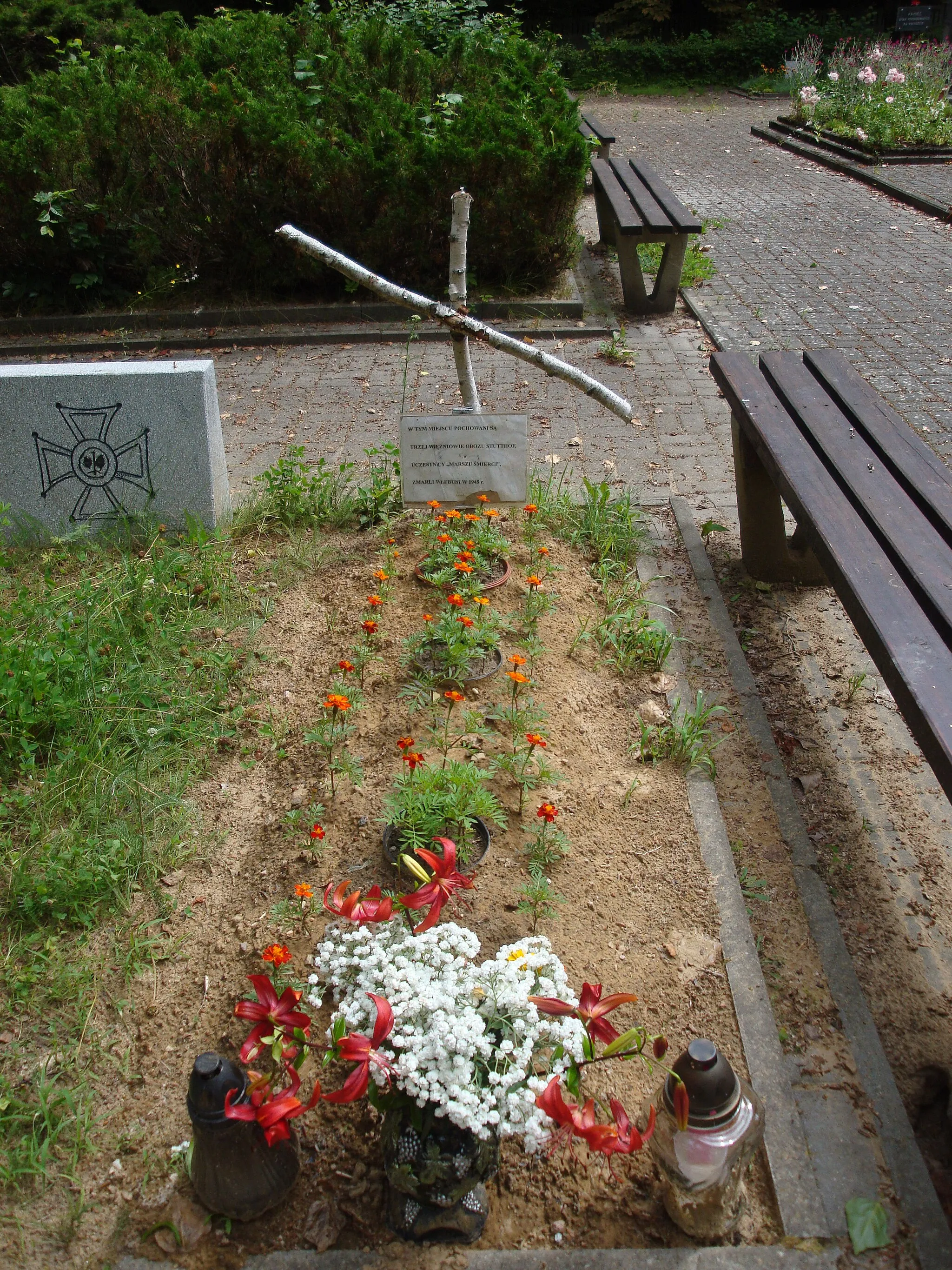 Photo showing: Cemetery near village Krępa Kaszubska, where about 800 prisoners of Stutthof concentration camp, victims of Death March are buried.