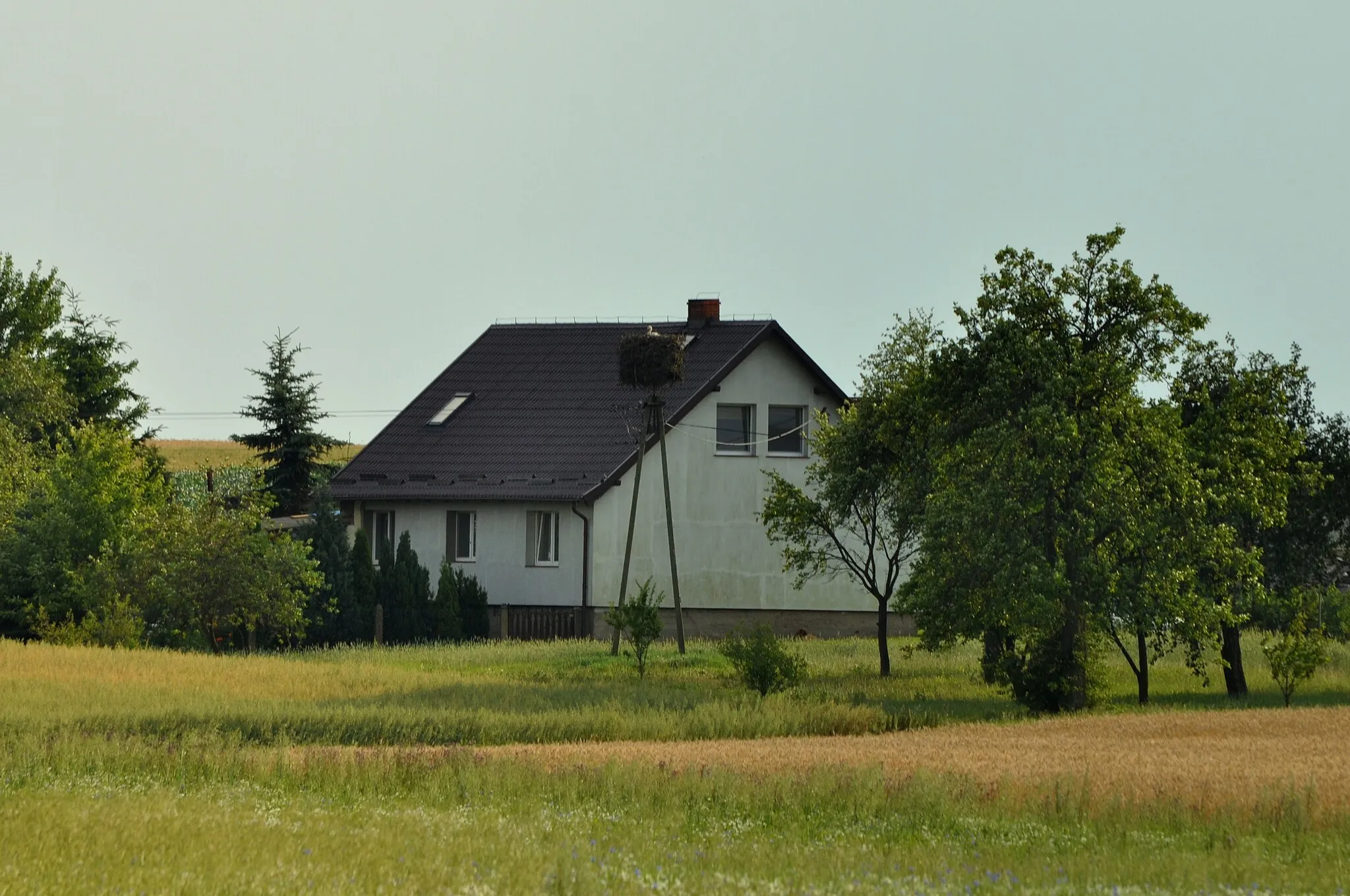 Photo showing: Stork nest in Kosobudy, Pomeranian Voivodeship, Poland