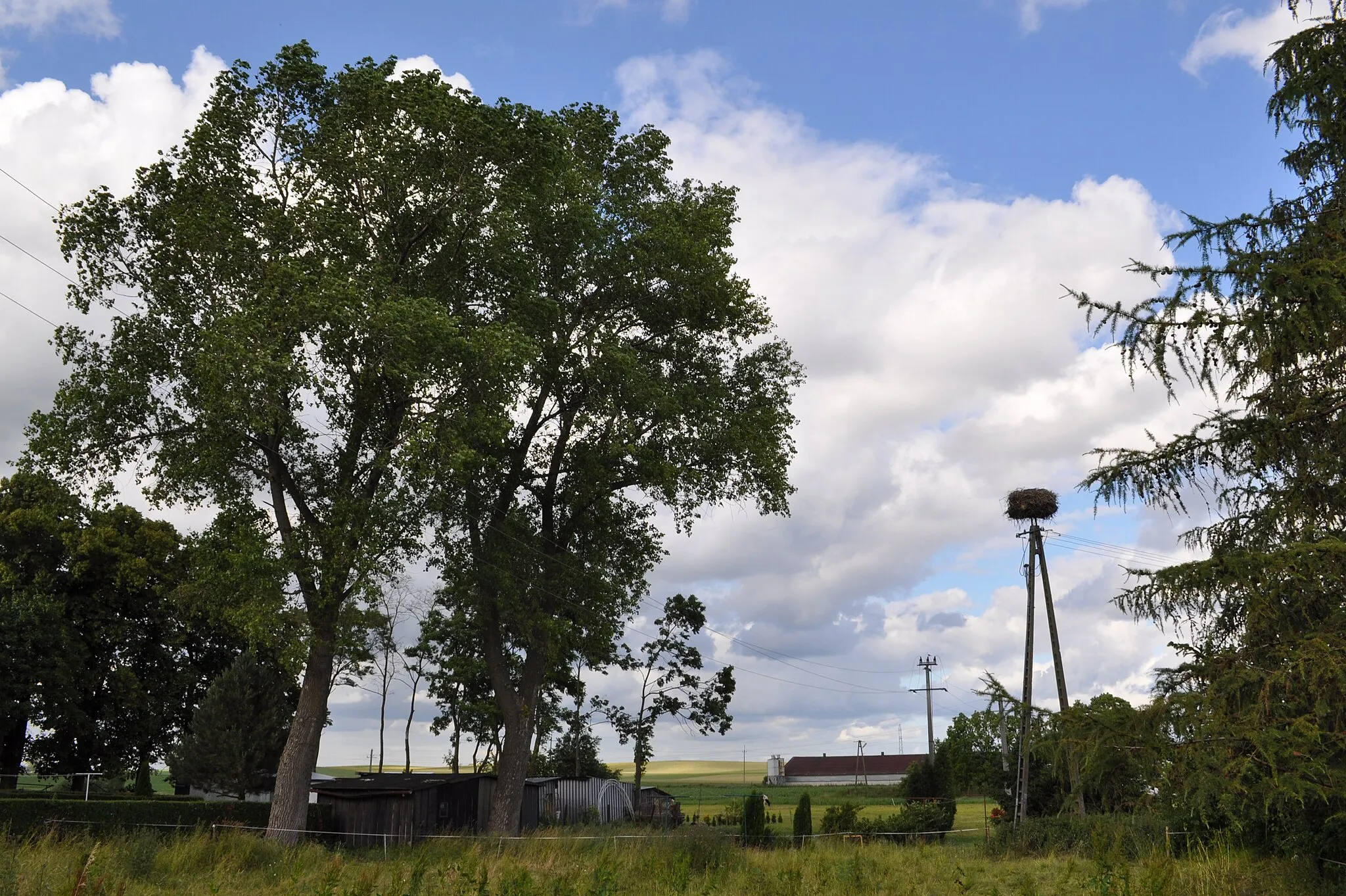 Photo showing: Stork nest in Kosobudy, Pomeranian Voivodeship, Poland