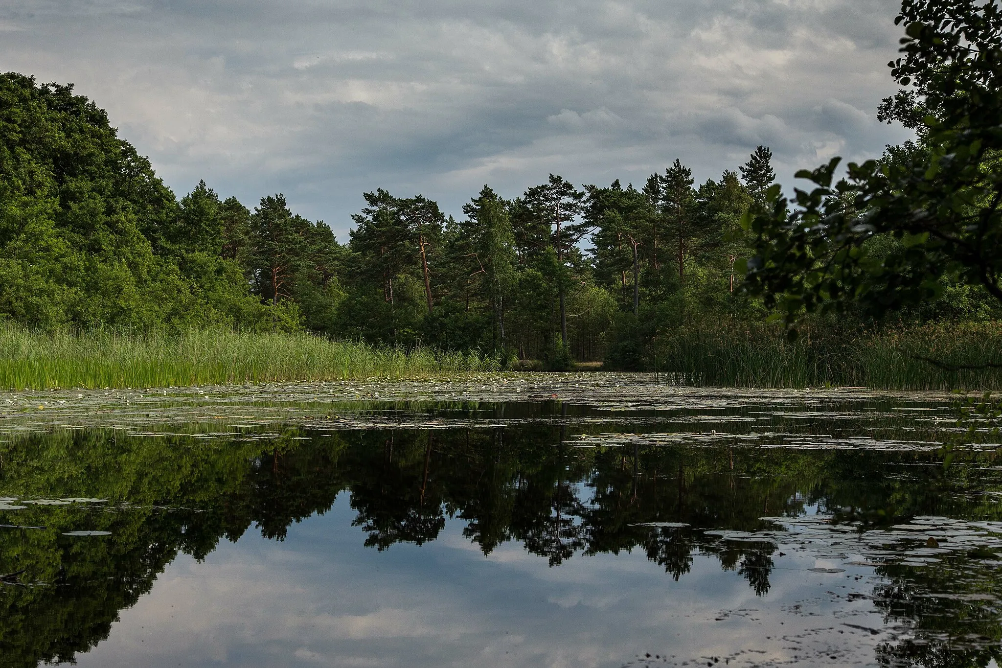 Photo showing: Jezioro Kopalińskie, Poland