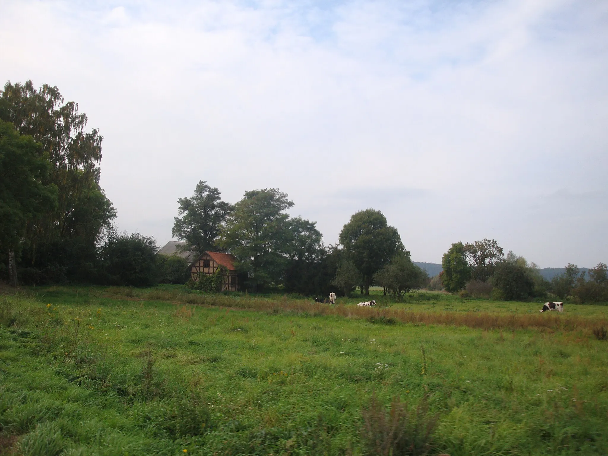 Photo showing: Kaniczki-village in Pomeranian Voivodeship, Poland