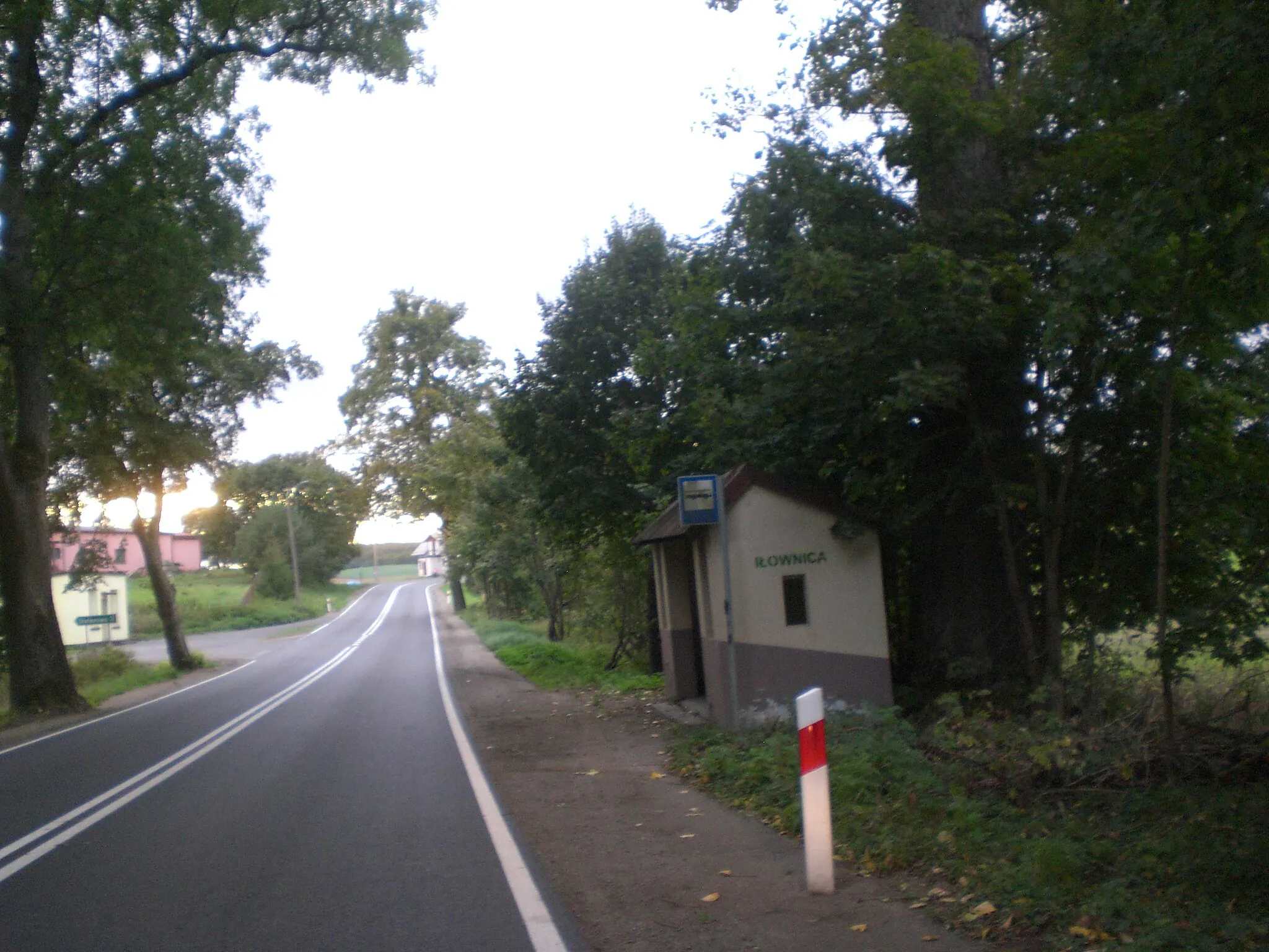 Photo showing: Iłownica, DW224