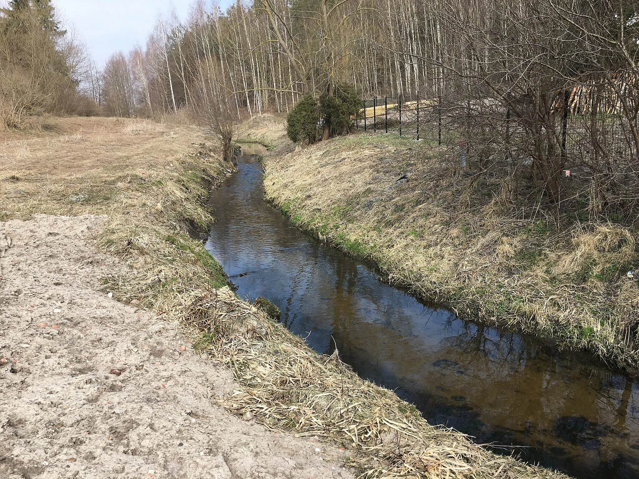 Photo showing: Strumyk Pliszka w Grabowcu, powiat starogardzki