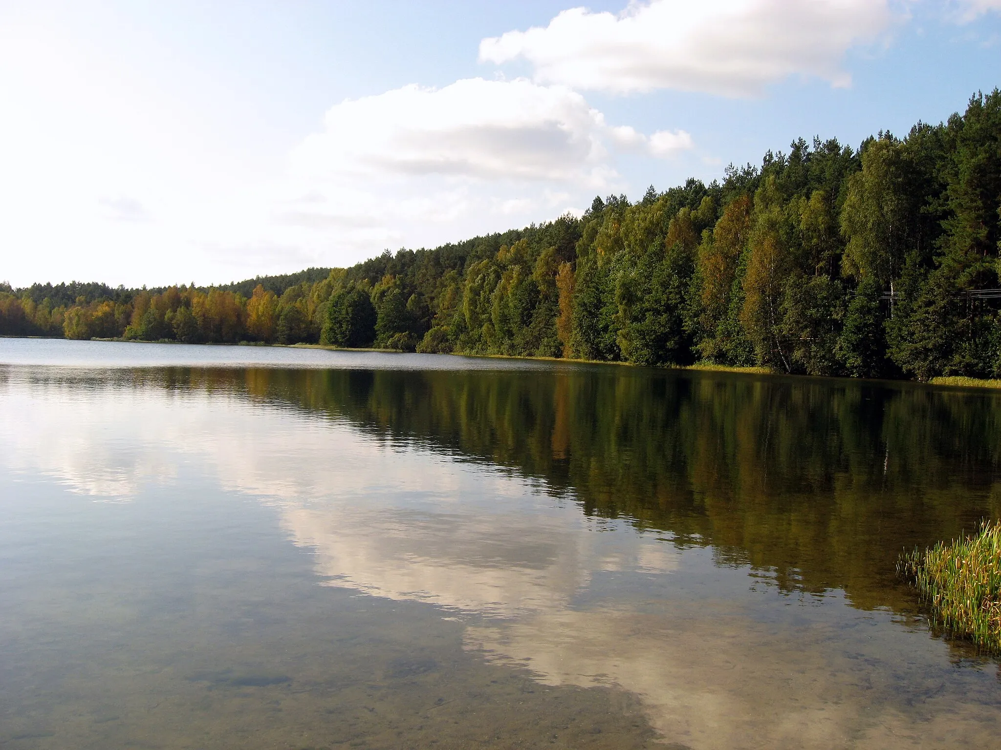 Photo showing: Jezioro Dąbrowskie - Gołubie