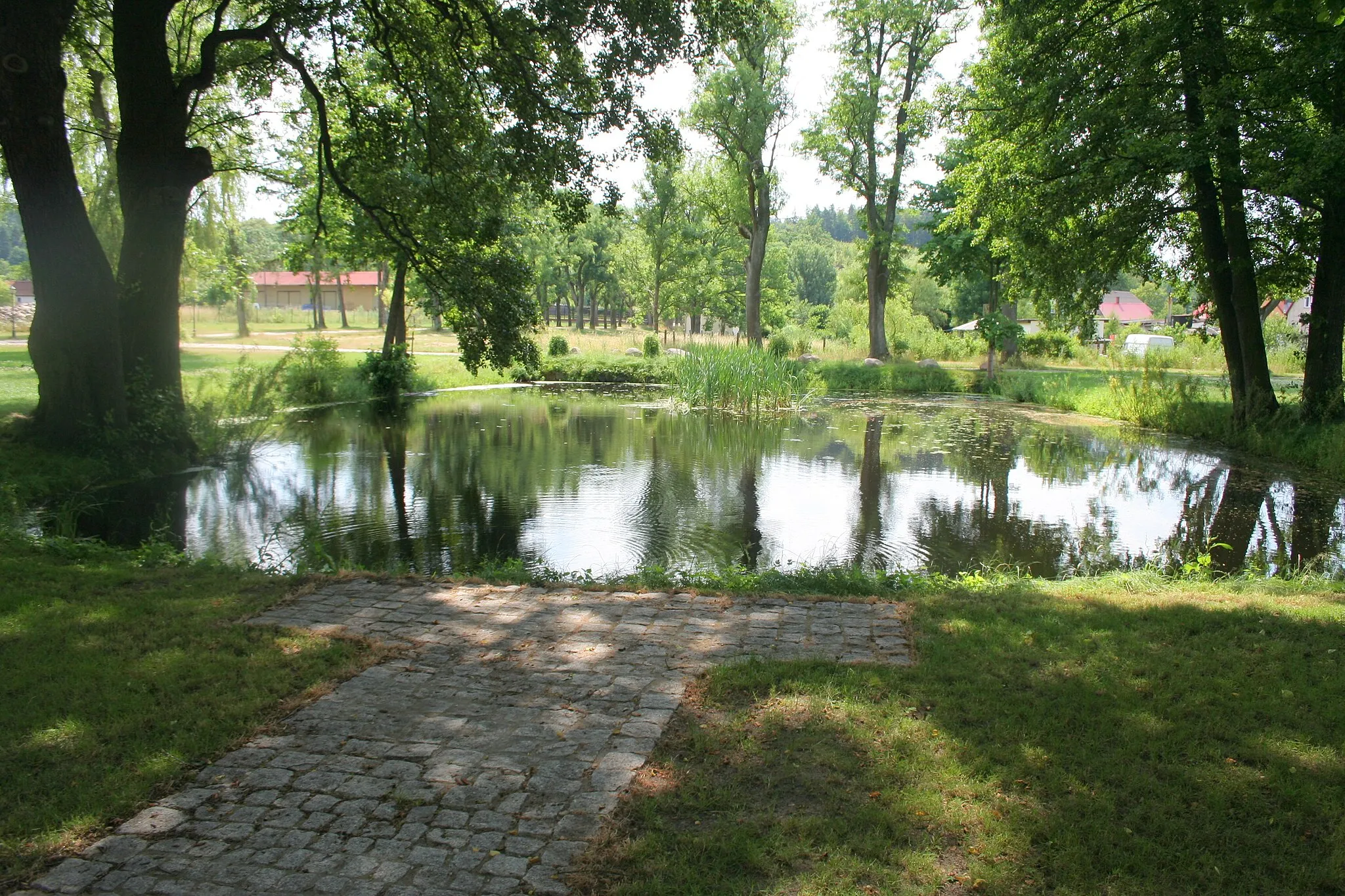 Photo showing: Pond near Godętowo Palace.