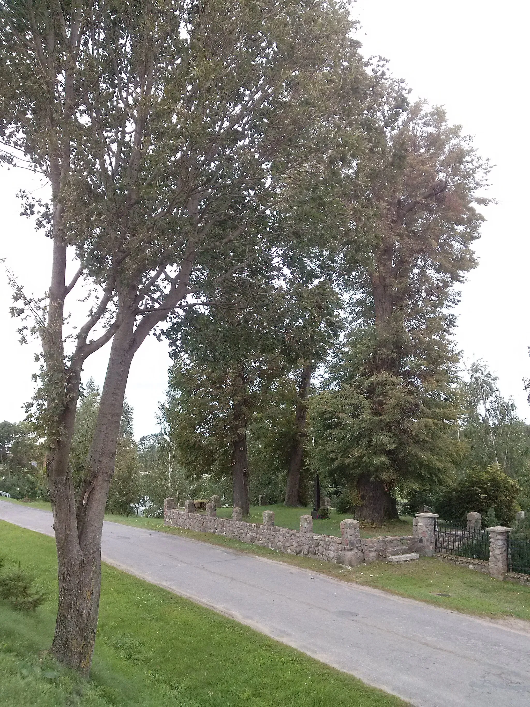 Photo showing: Friedhof in Gockowice (Götzendorf), 2017