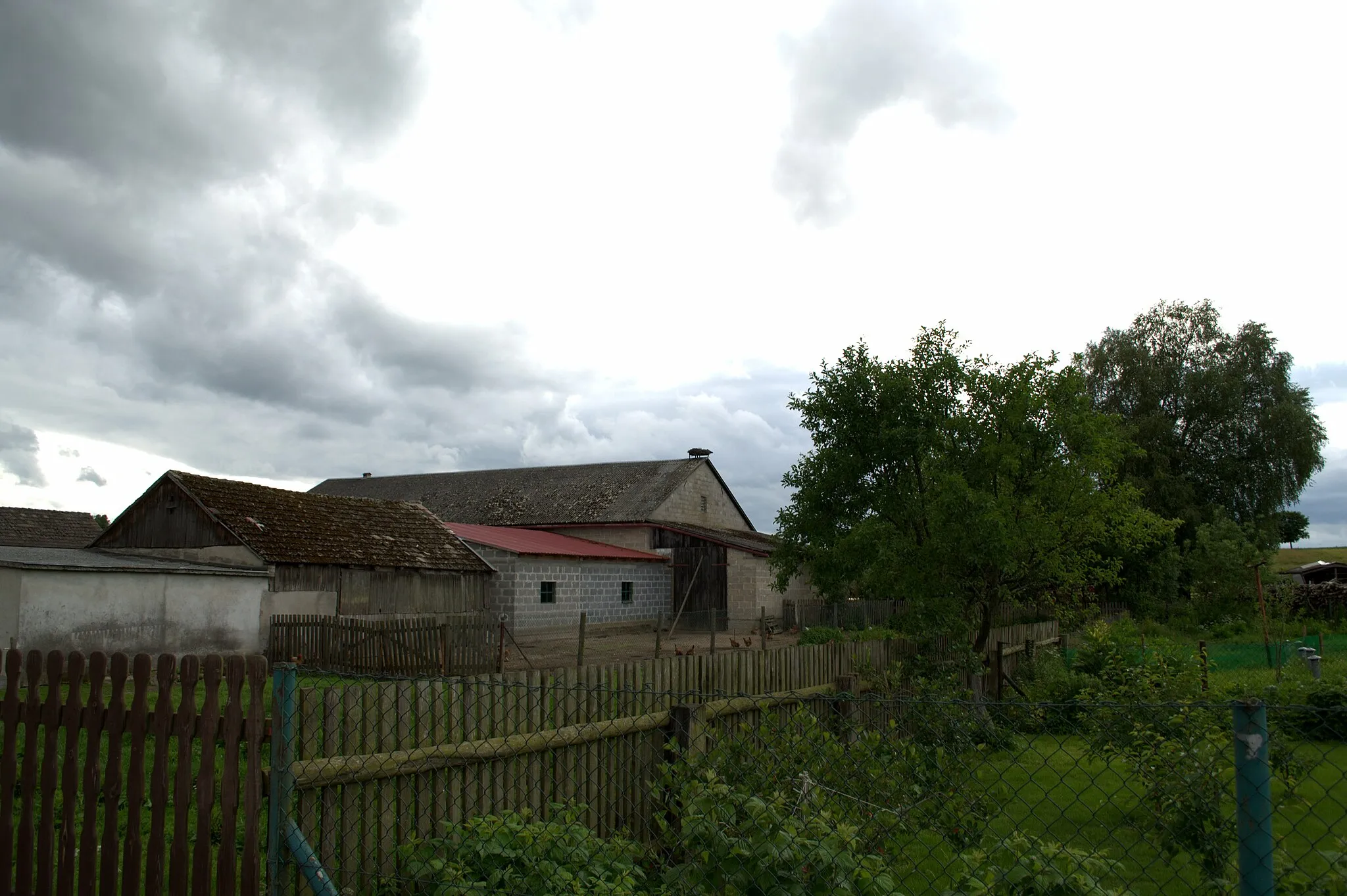 Photo showing: Stork nest in Główczewice, Pomeranian Voivodeship, Poland