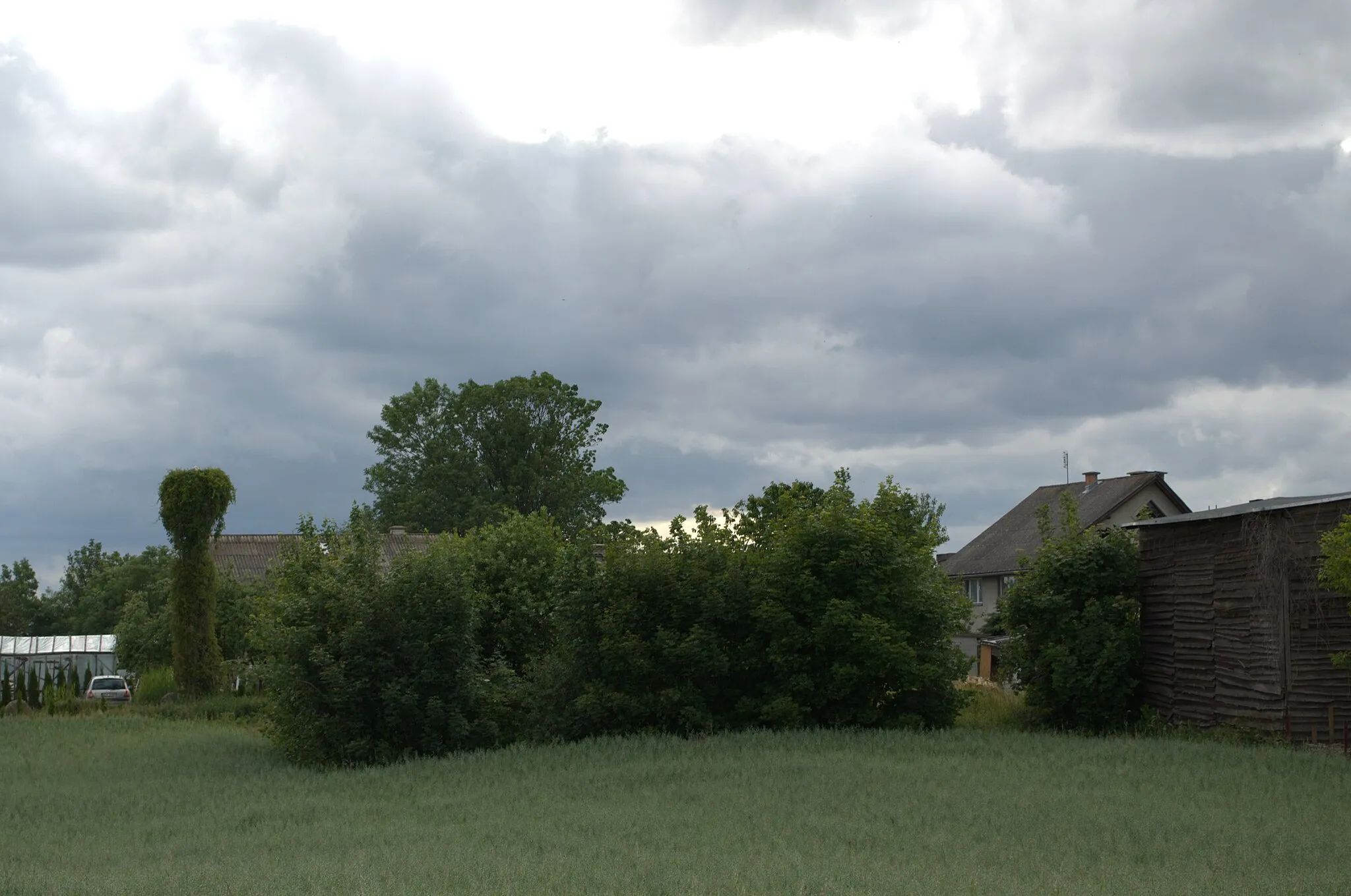 Photo showing: Stork nest in Czyczkowy, Pomeranian Voivodeship, Poland