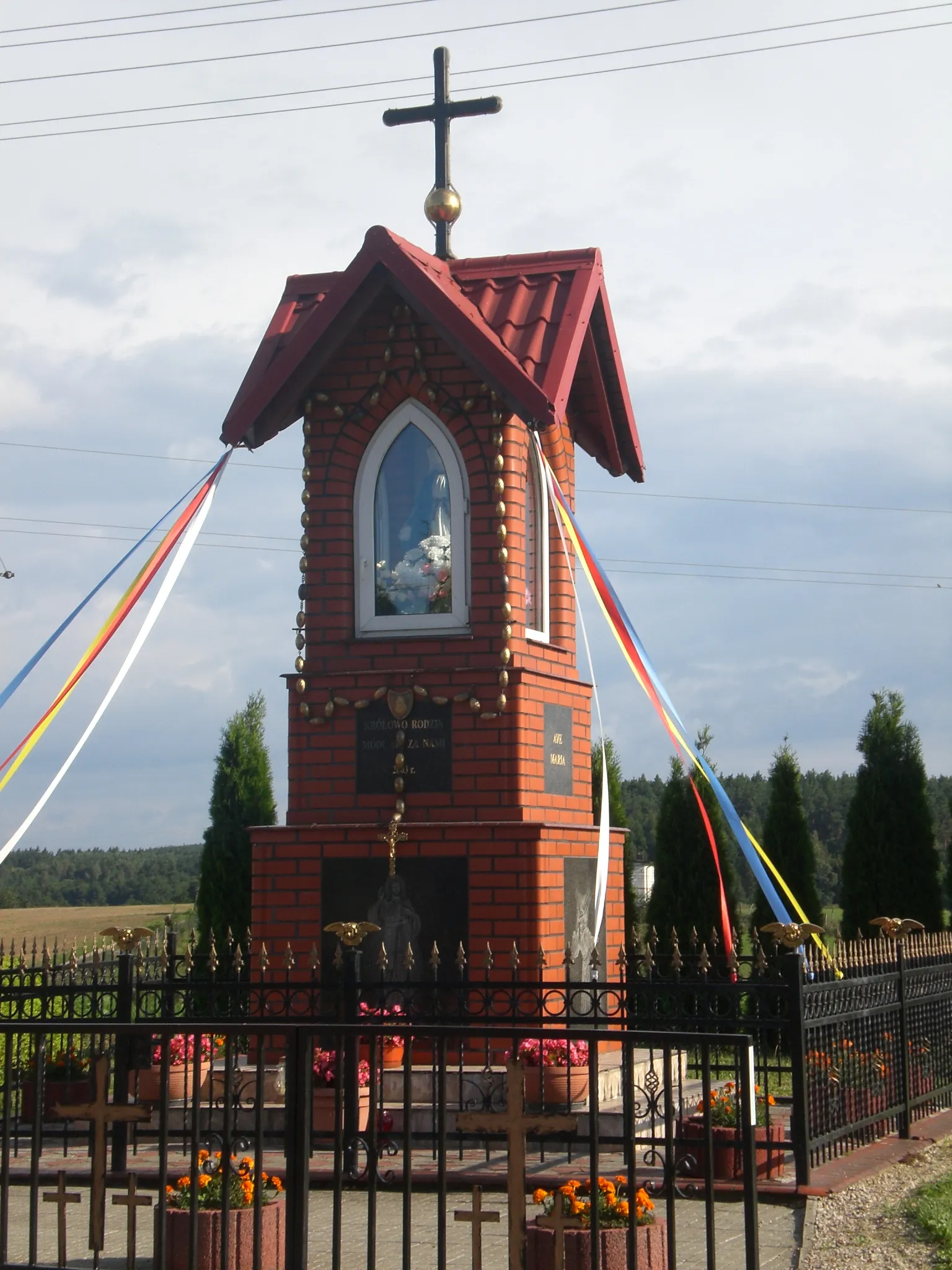 Photo showing: Czarnocin