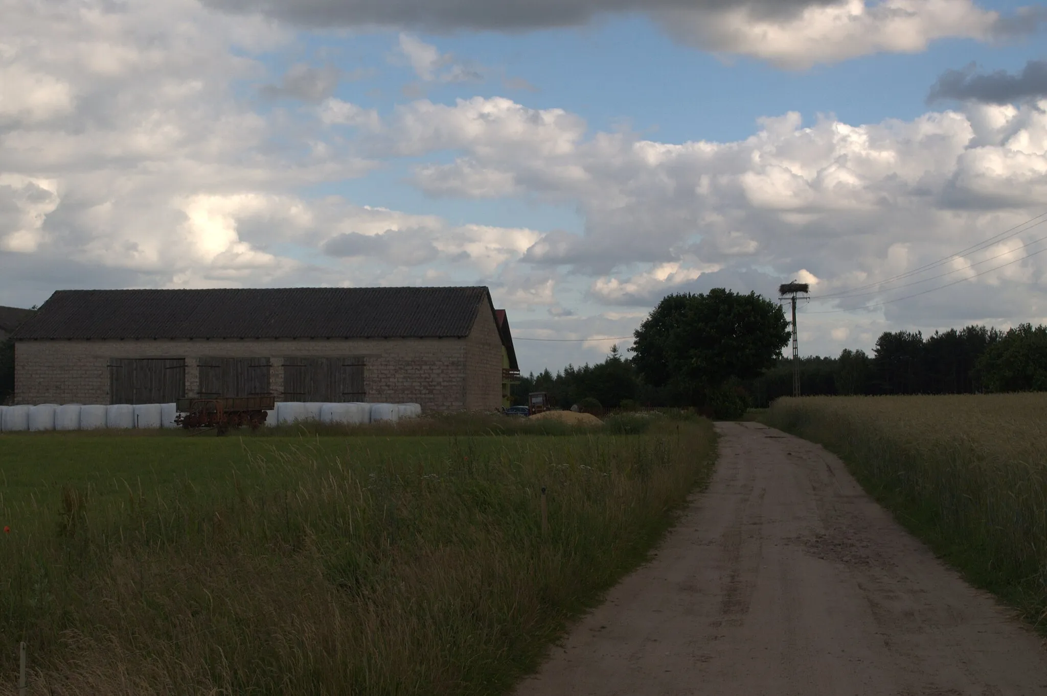 Photo showing: Stork nest in Czapiewice-Wybudowanie, Pomeranian Voivodeship, Poland