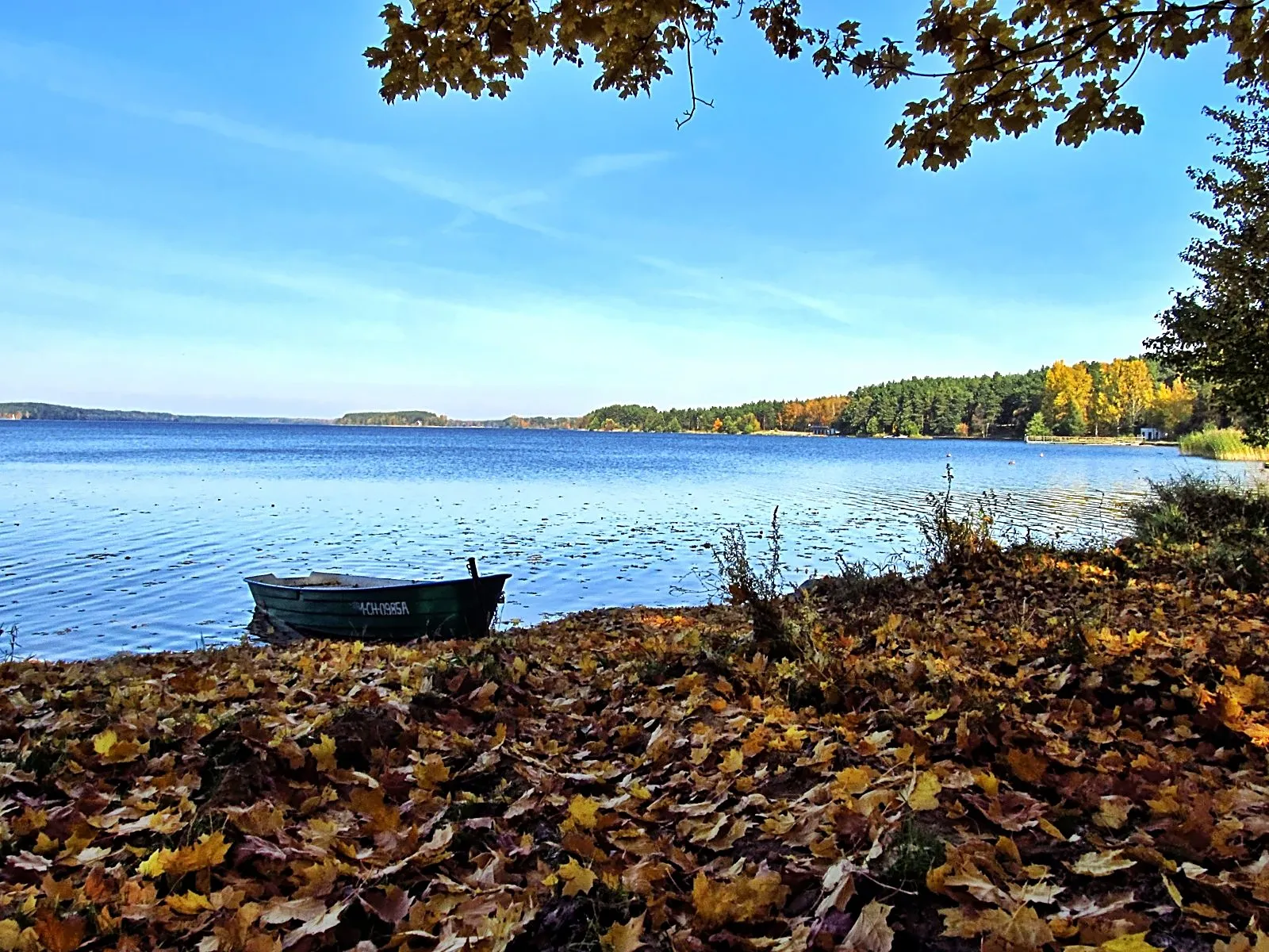 Photo showing: Autumn on Wdzydzami