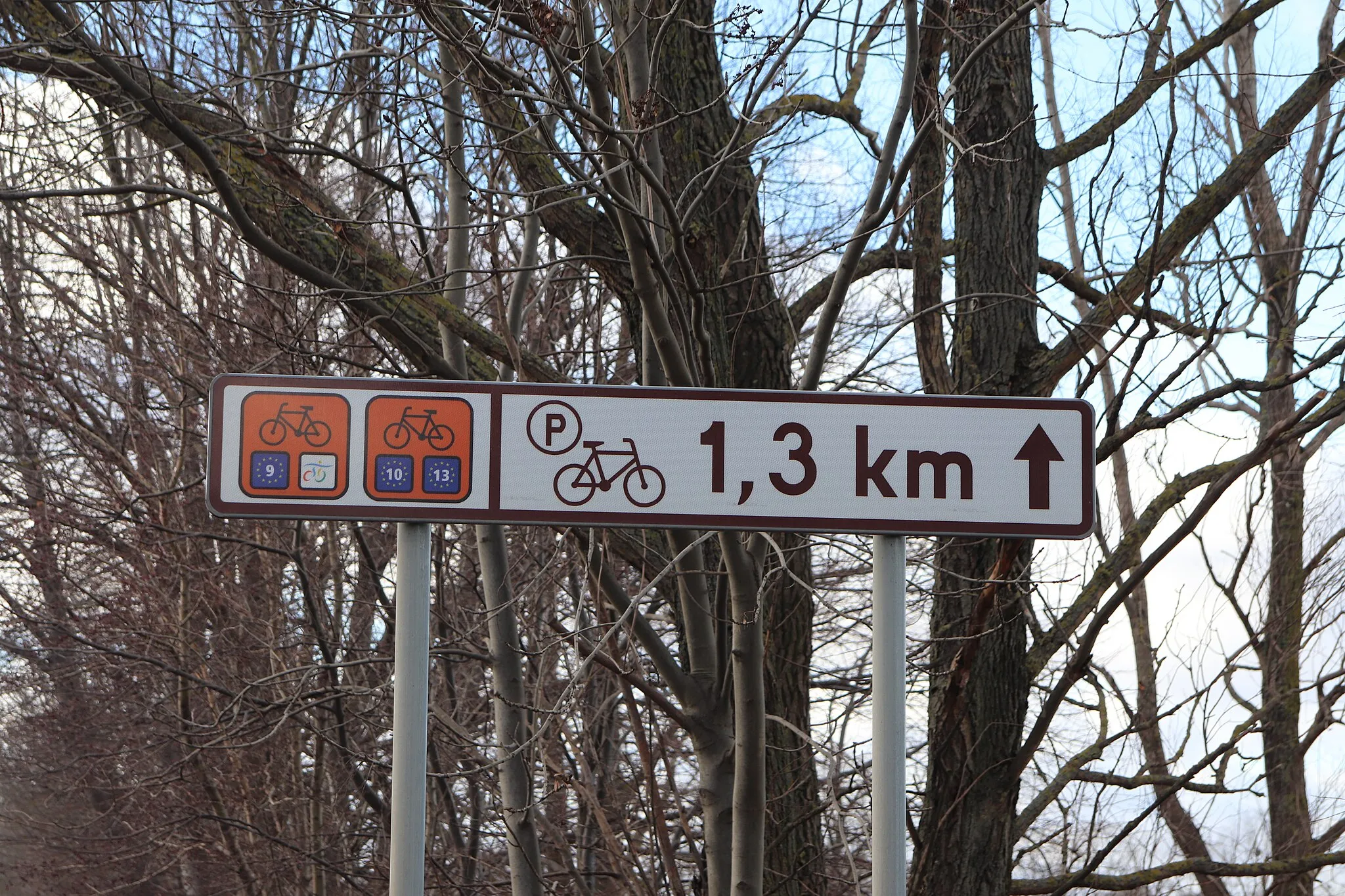 Photo showing: Bogatka - cycling route