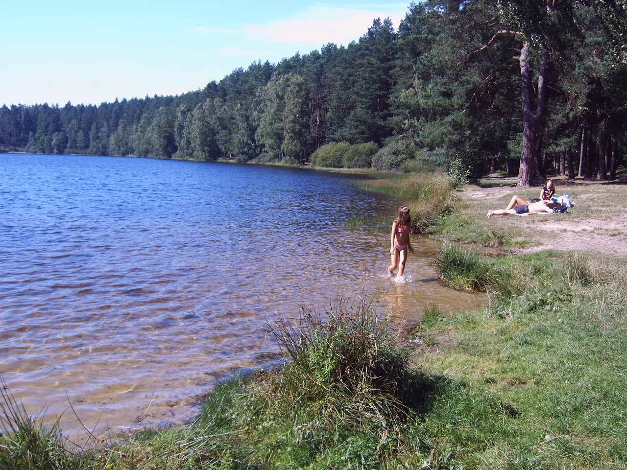 Photo showing: Jezioro Bieszkowickie (sierpień 2013)