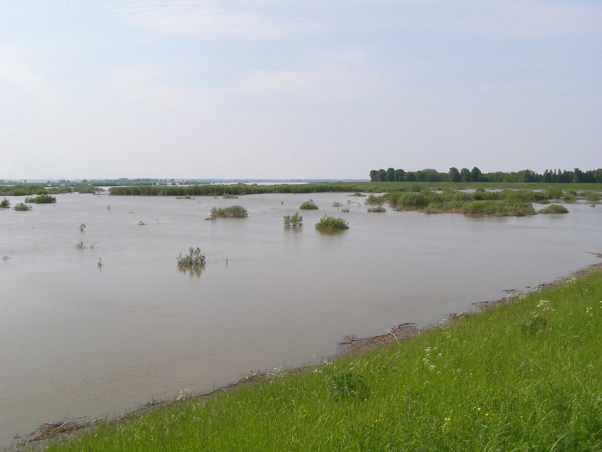 Photo showing: Benowo - high level between the Vistula dikes