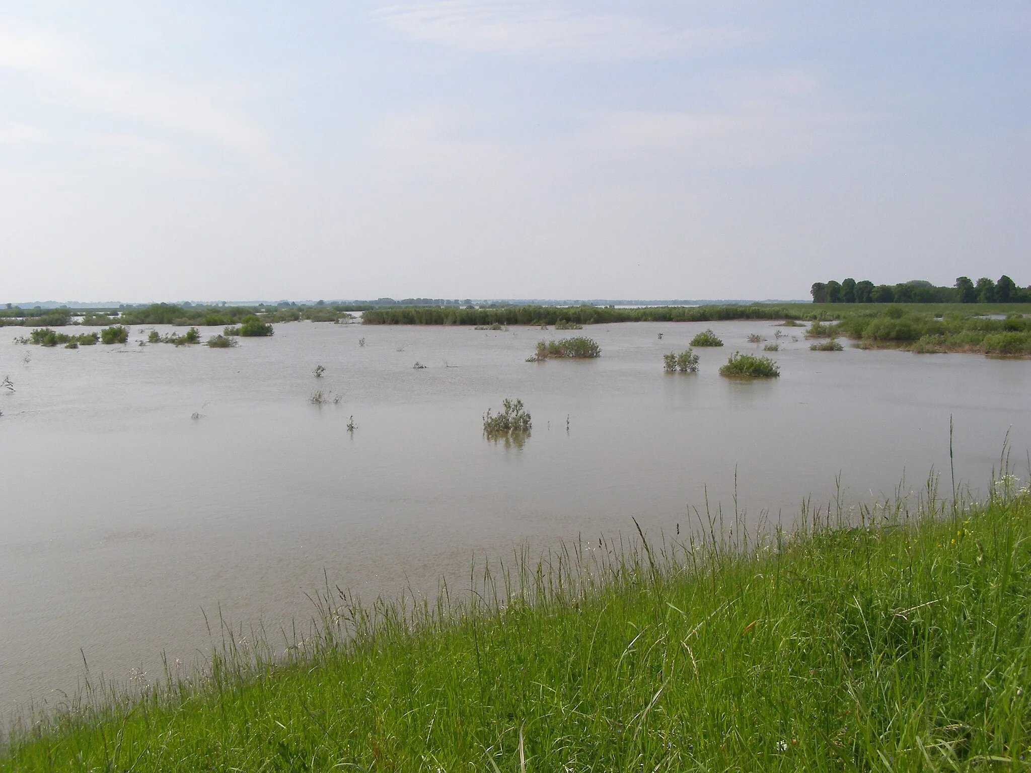 Photo showing: Benowo - high level between the Vistula dikes