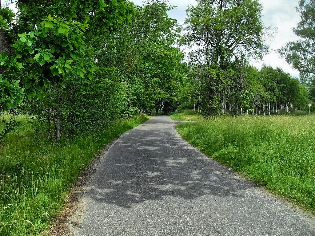 Photo showing: Paved road through the Bartel Wielki