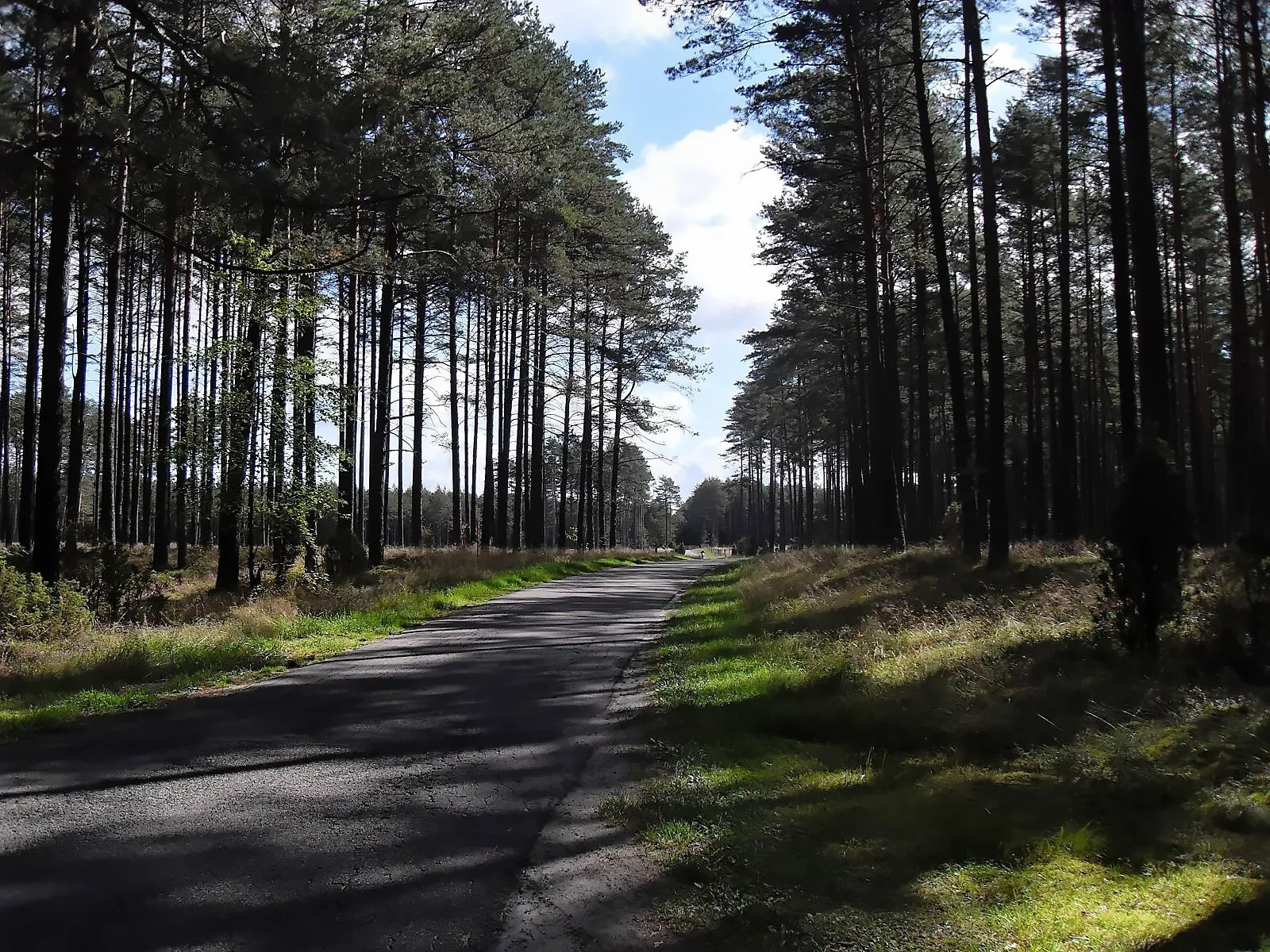 Photo showing: A long stretch of the road from the same prot Kaliska