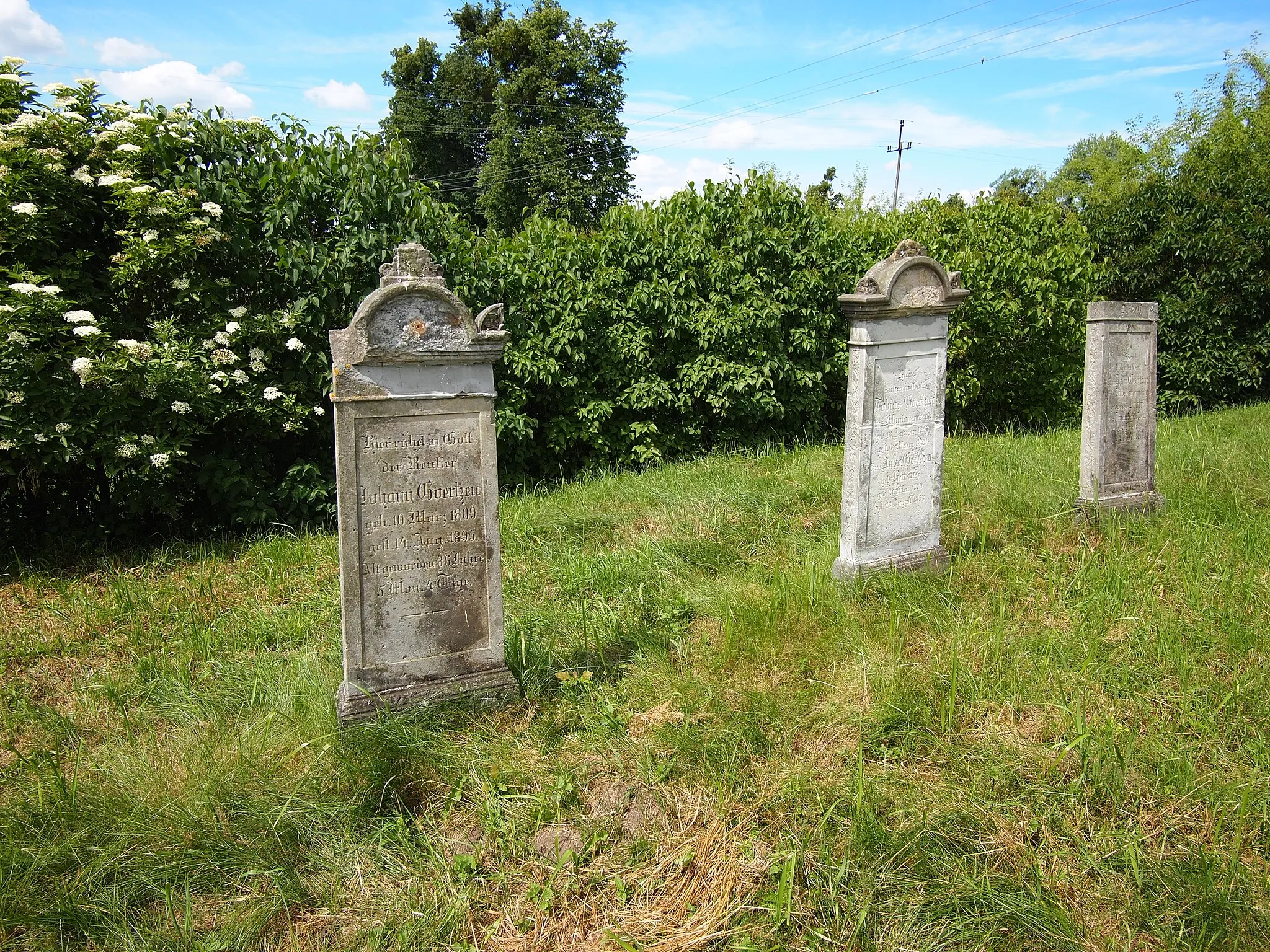 Photo showing: Mennonite Cemetery in Barcice