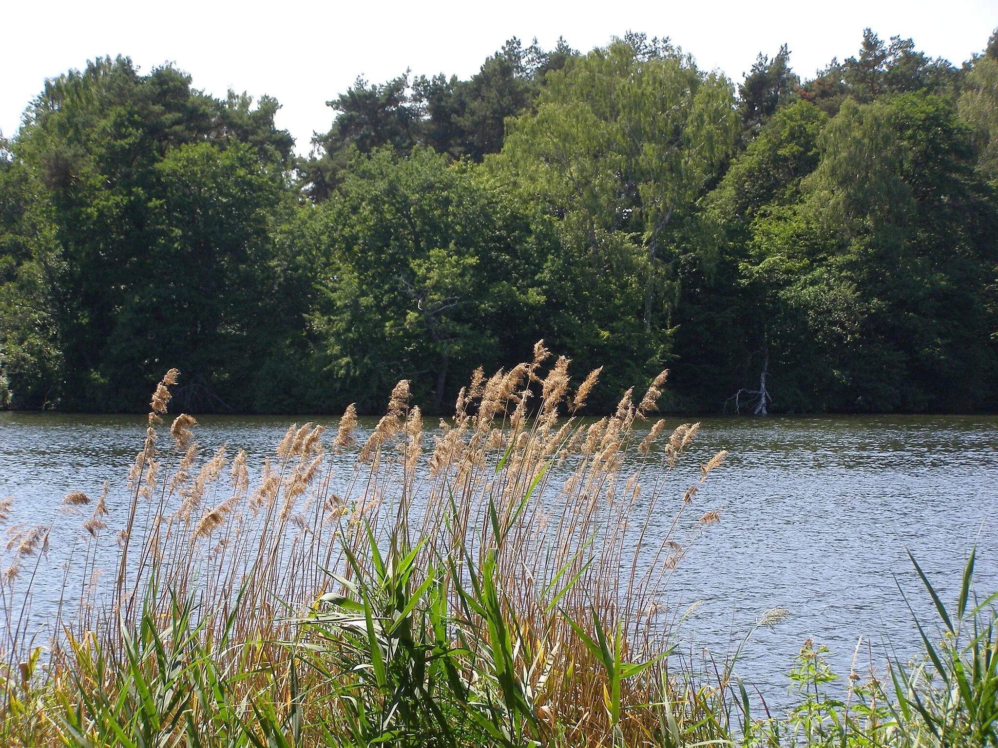 Photo showing: Straszyńskie lake