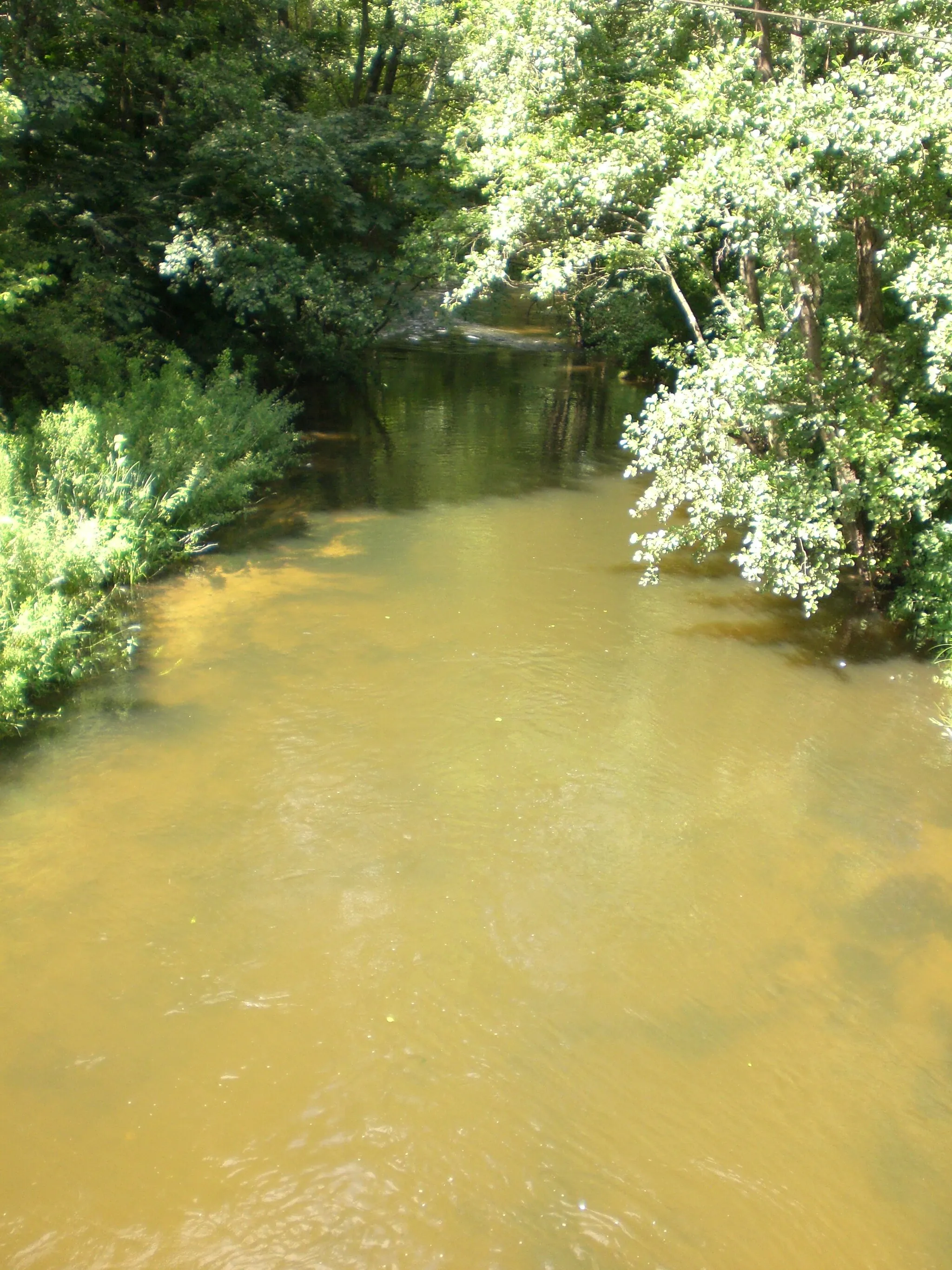 Photo showing: Słupia river in Soszyca