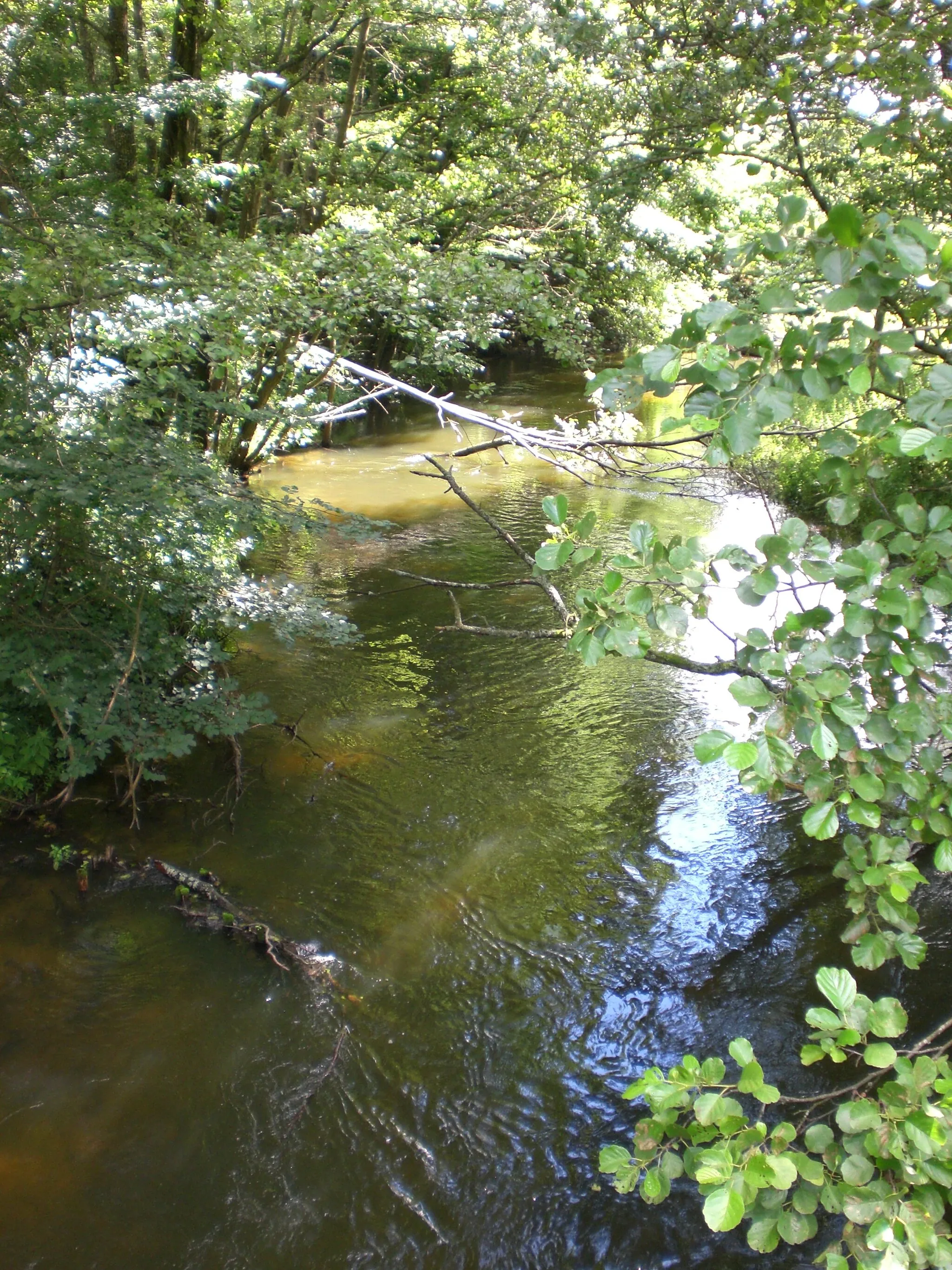 Photo showing: Słupia river in Soszyca